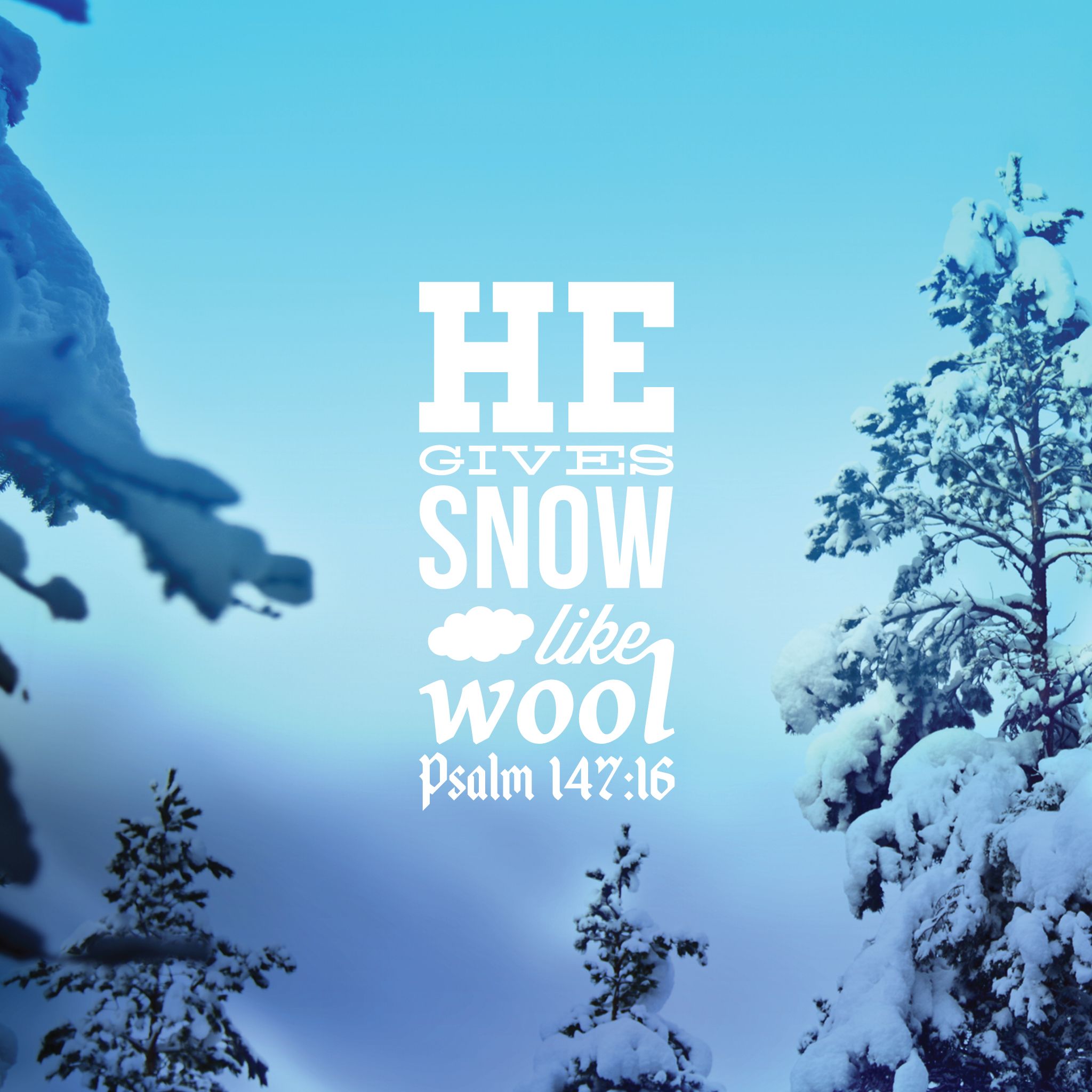 Псалом 147. Библия зима.