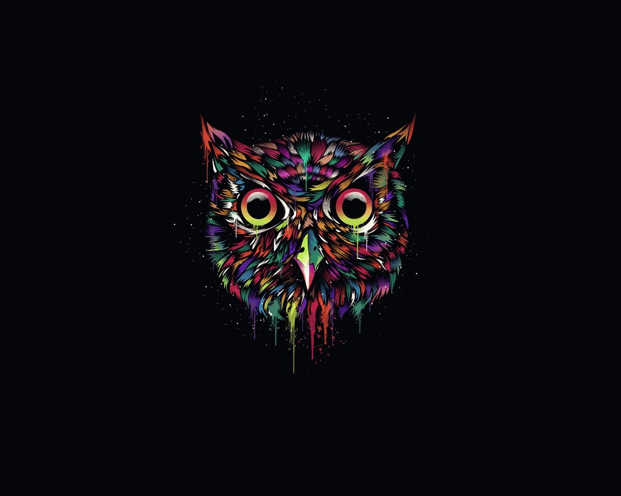 Cute Colorful Owl Wallpapers on WallpaperDog