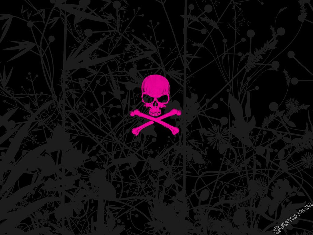 pink and black skull wallpaper