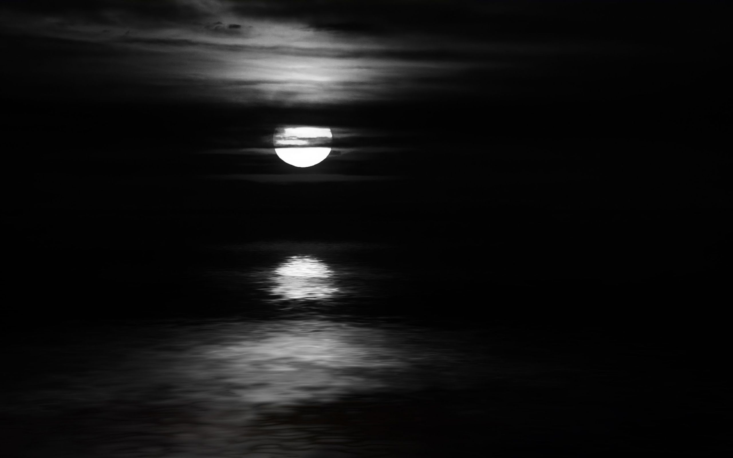 moonlight night black and white