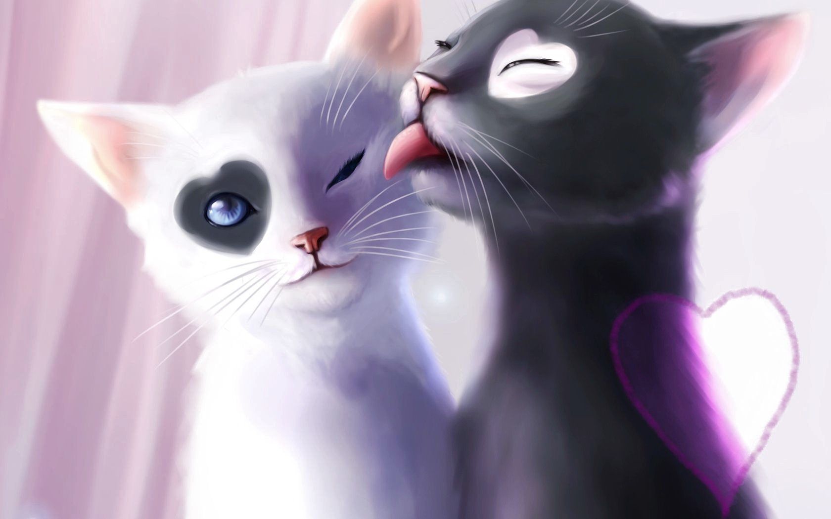 Download wallpaper 1680x1050 cats, couple, fluffy hd background