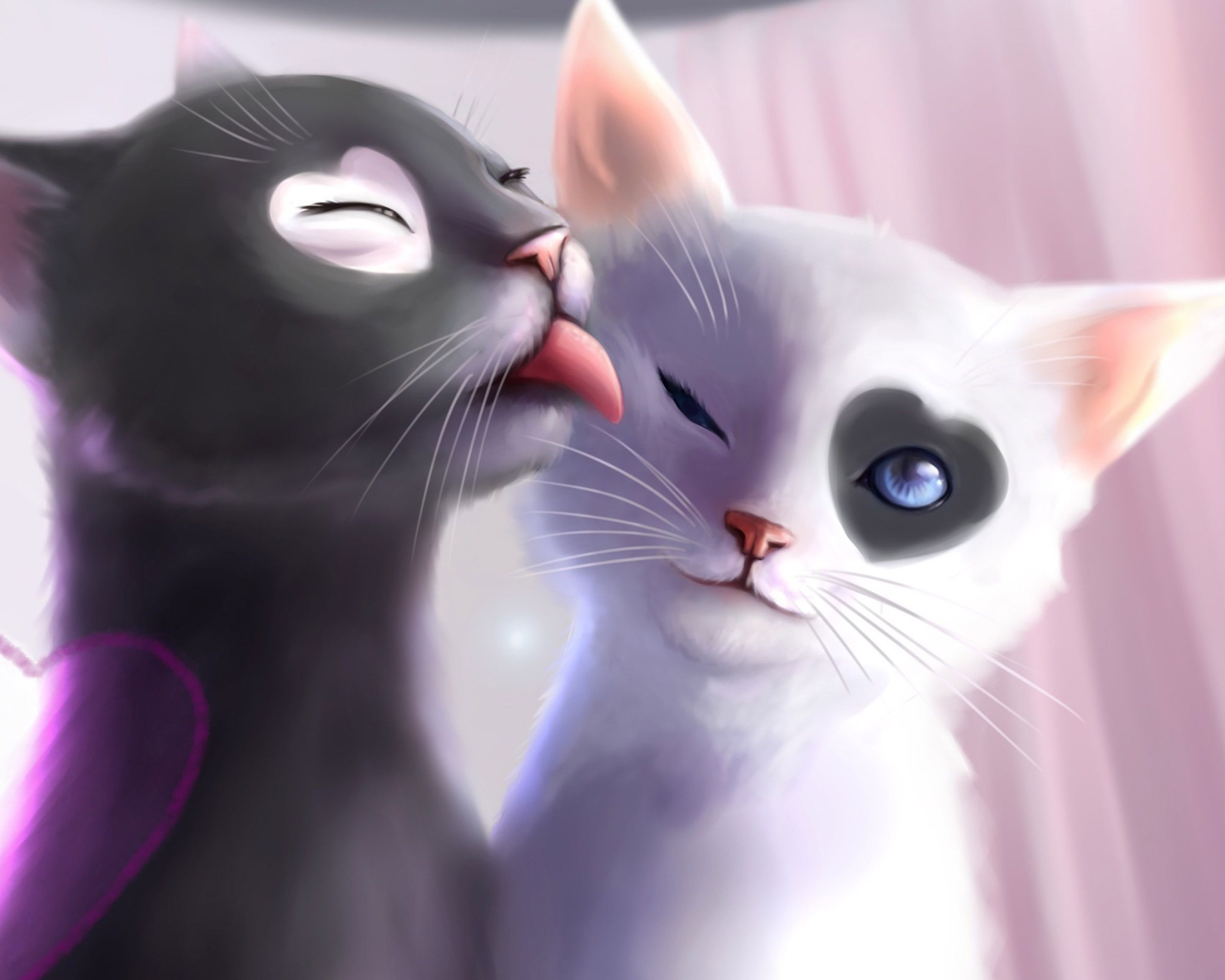 Cat Couples Wallpapers on WallpaperDog