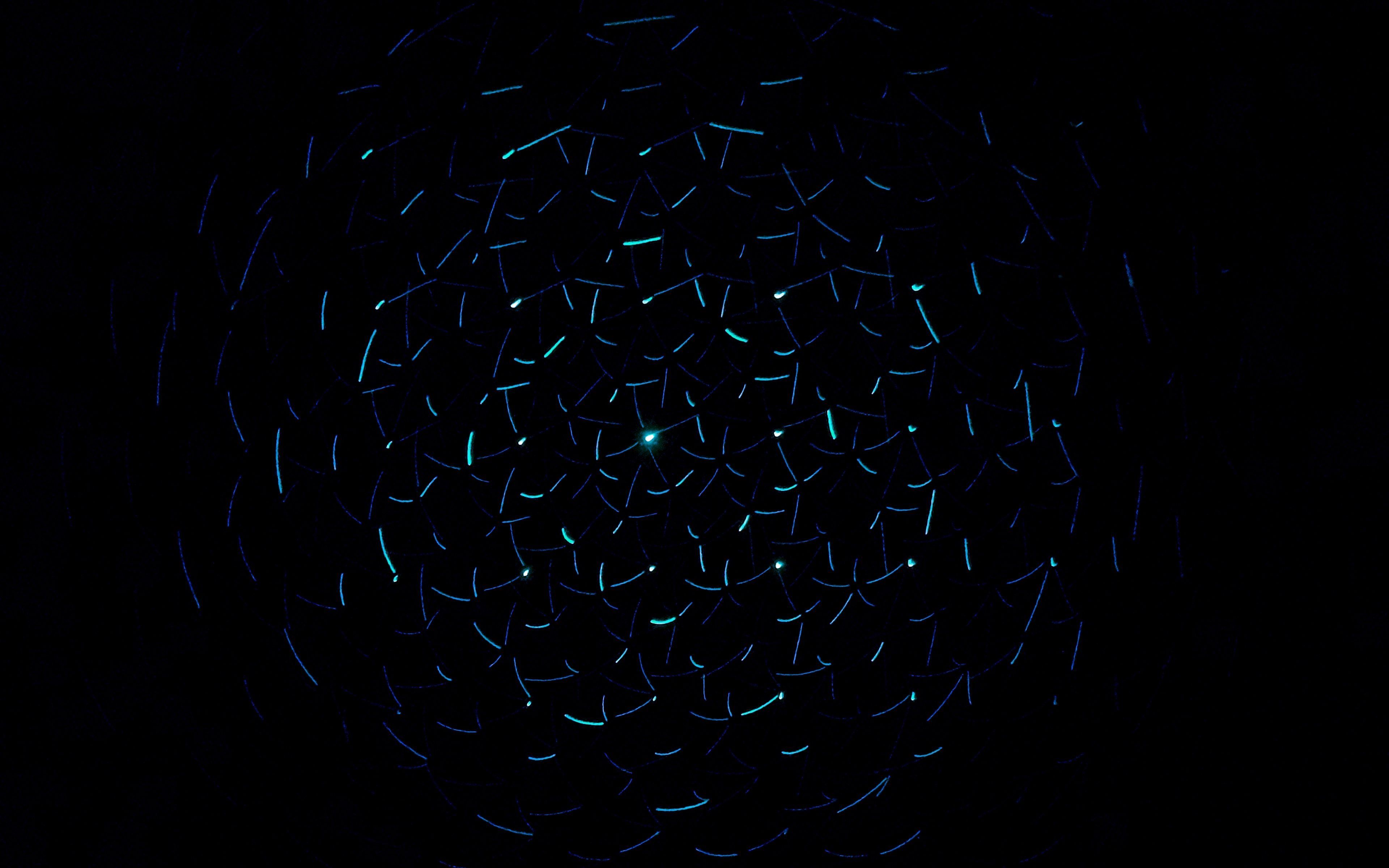 Neon Black Light Wallpapers on WallpaperDog