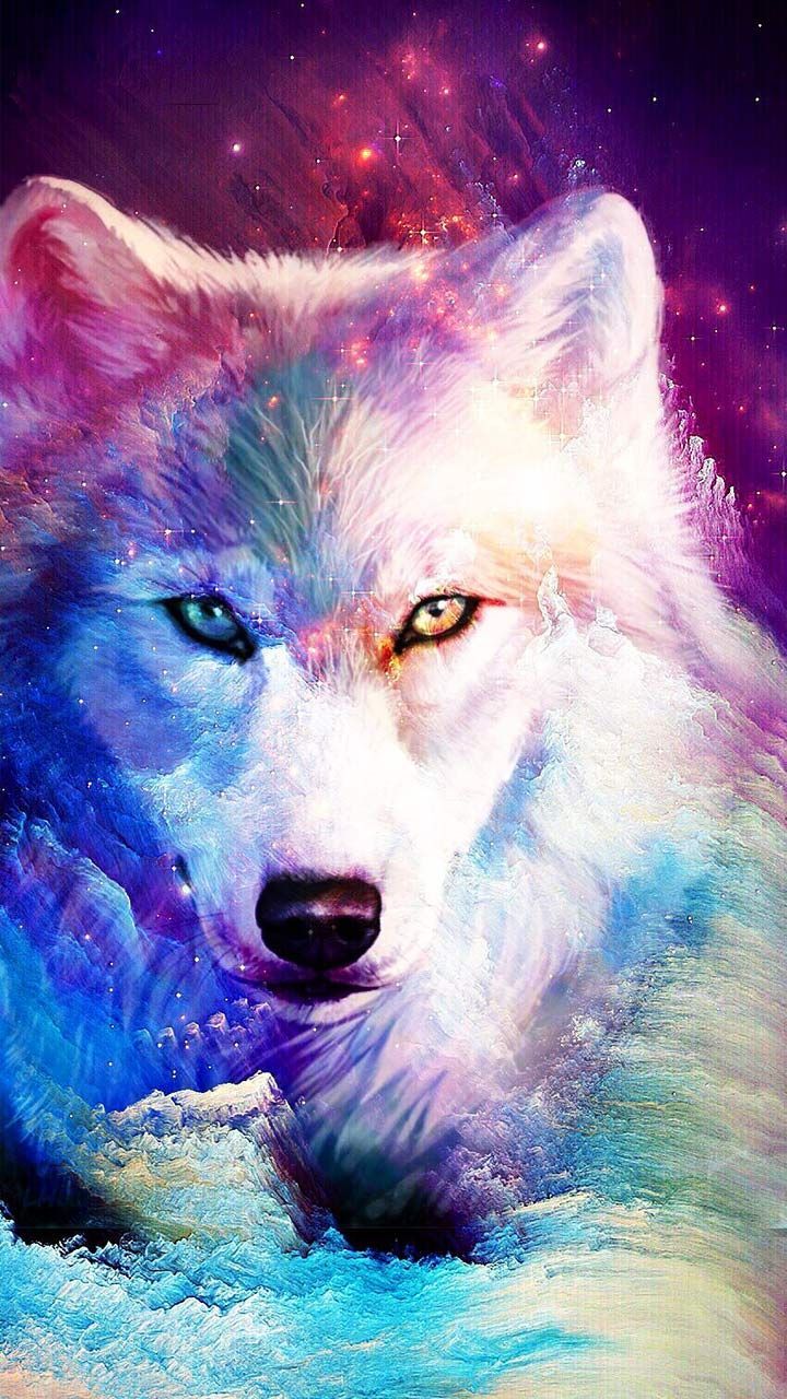 Fury Anime Galaxy Wolf Wallpapers on WallpaperDog