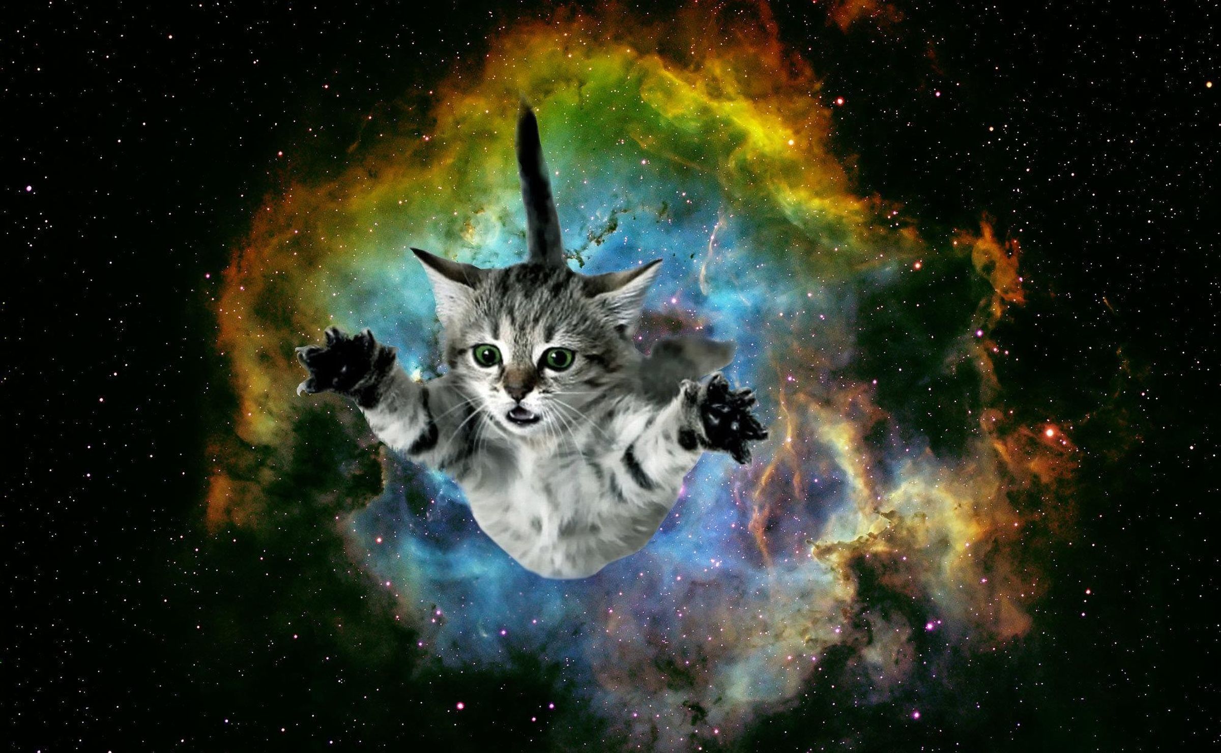 Cute Galaxy Cat Themes HD Wallpapers Launcher 3D APK for Android Download
