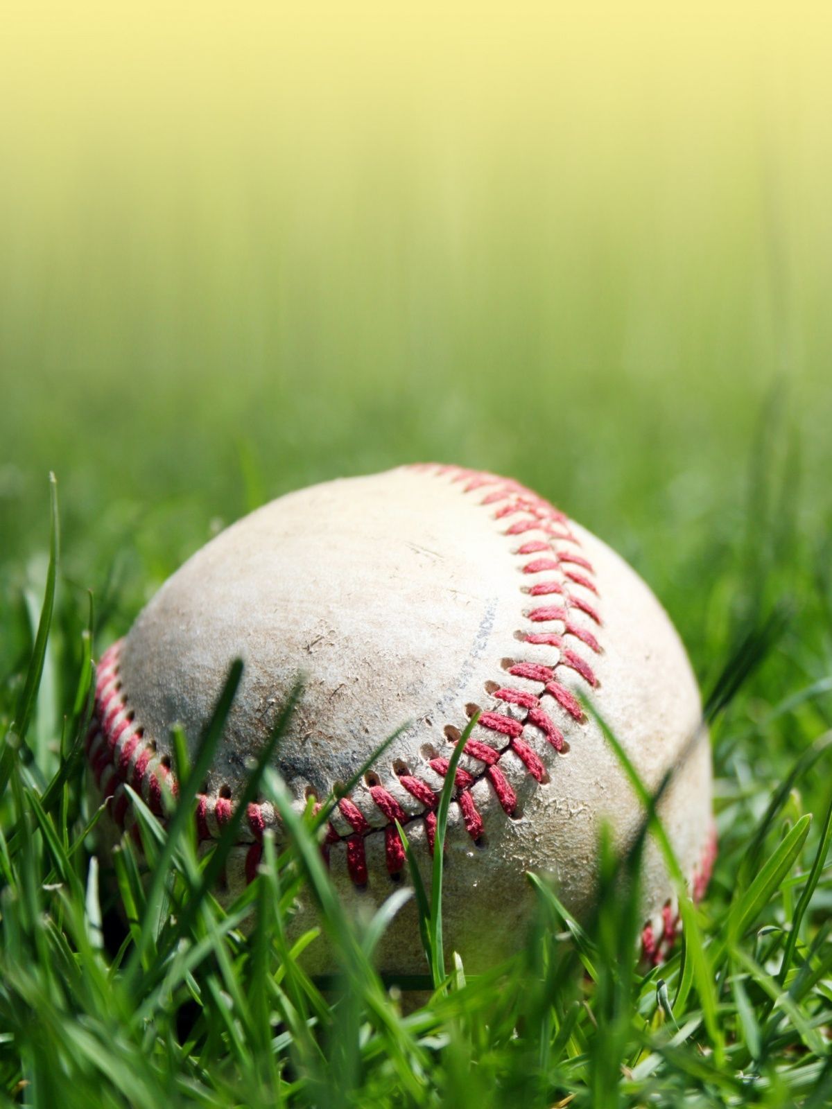 Download Dodgers Field iPhone Baseball Wallpaper  Wallpaperscom