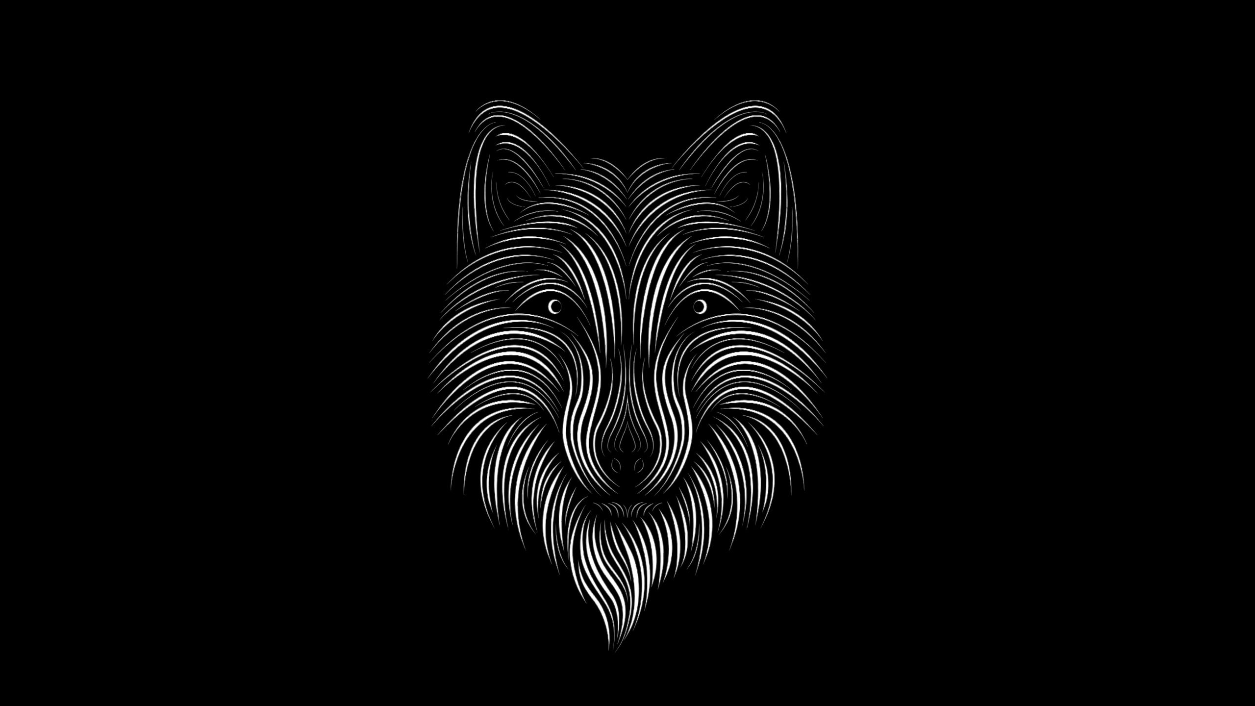 Black Fox Wallpapers on WallpaperDog