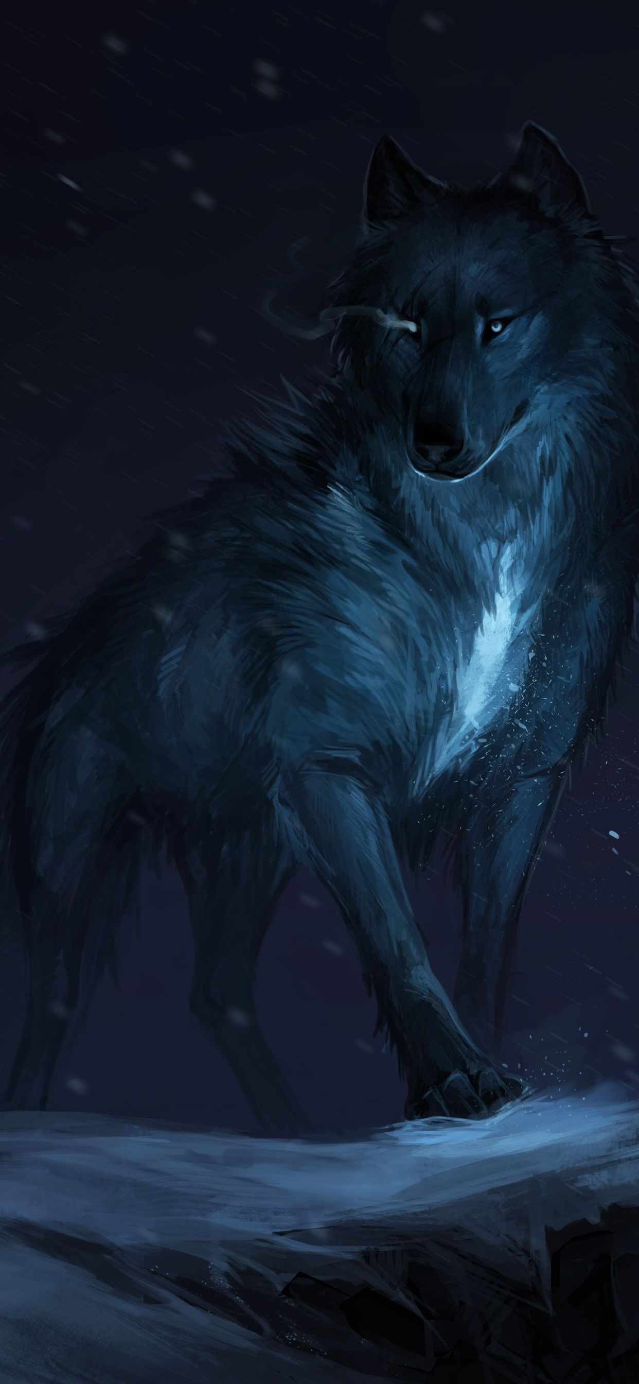 Black Fox Wallpapers on WallpaperDog