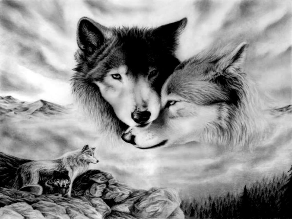 Beautiful 2 wolves - Wolves Photo (30534155) - Fanpop