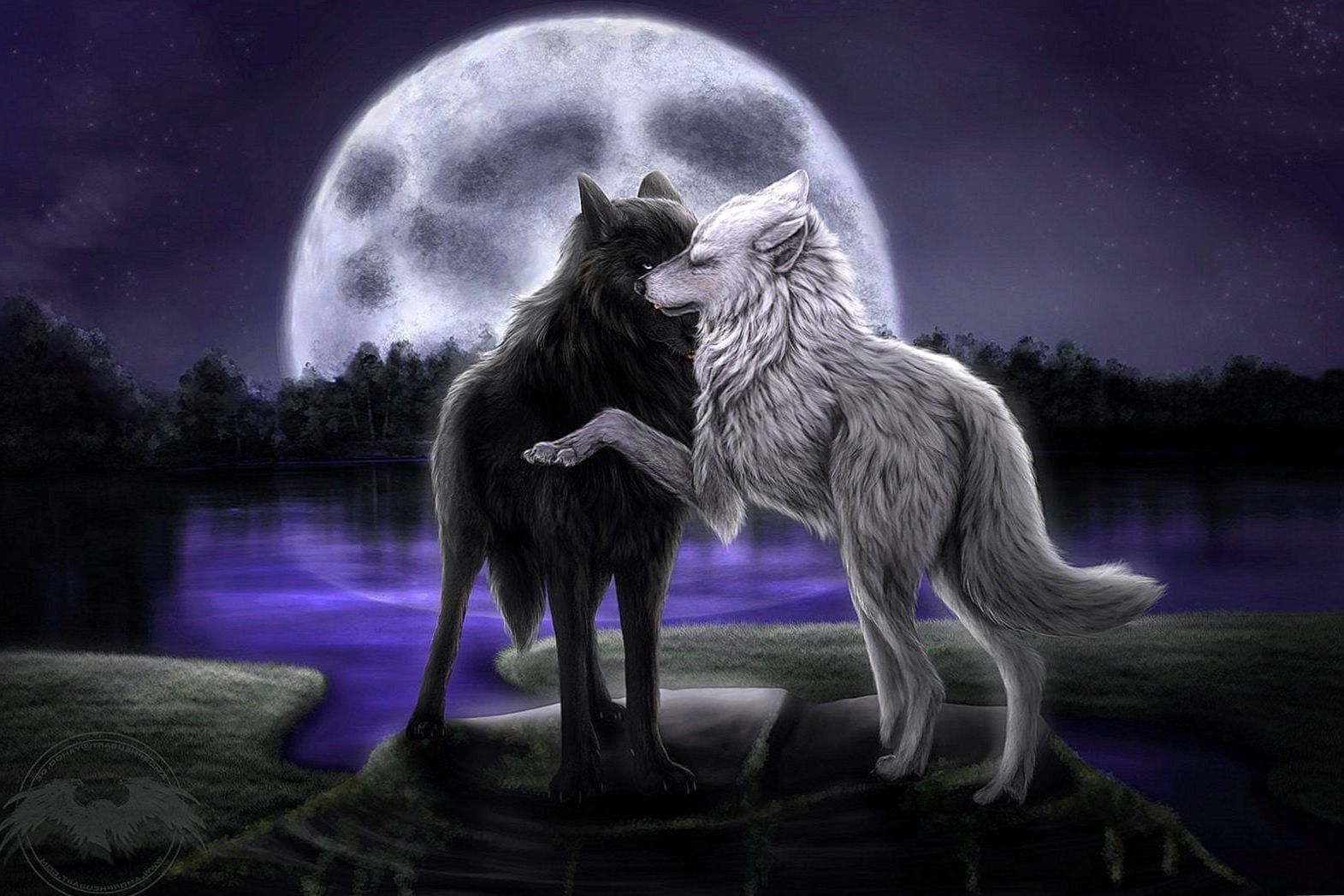 Sketches Of Wolves In Love