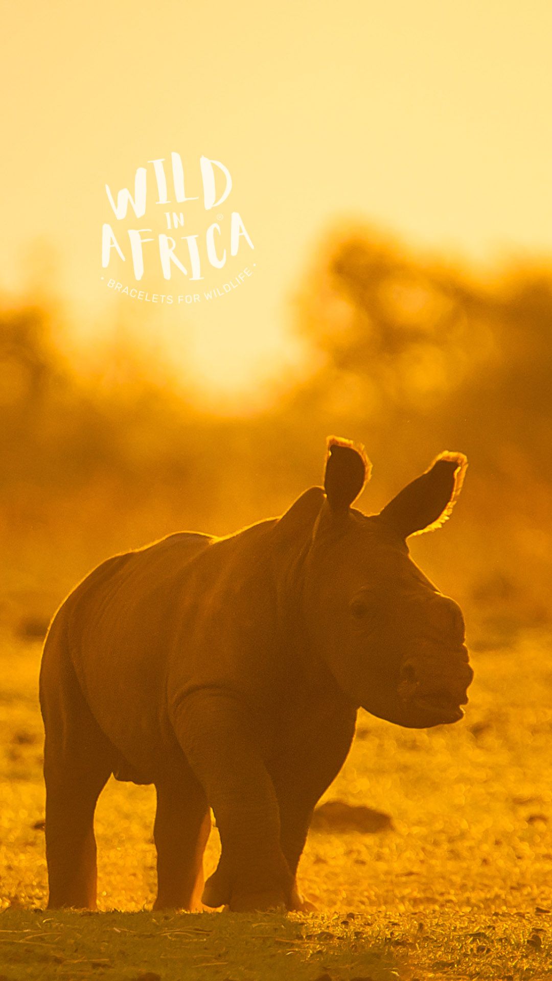 Best Rhinoceros iPhone HD Wallpapers  iLikeWallpaper