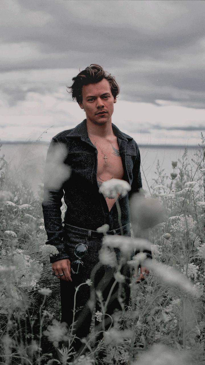 Harry Styles Wallpapers on WallpaperDog