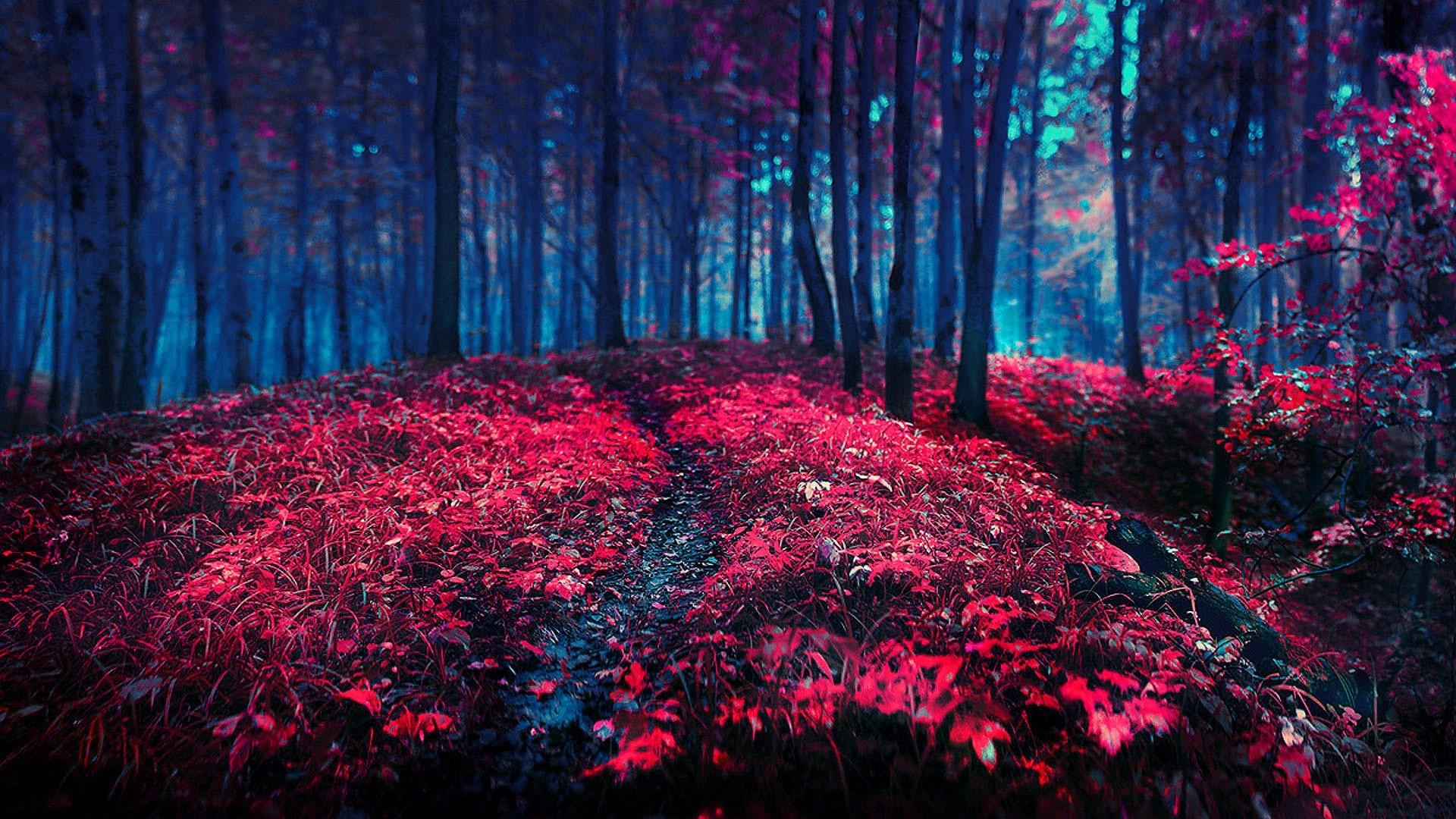 Free Red Nature Wallpaper - Download in JPG | Template.net