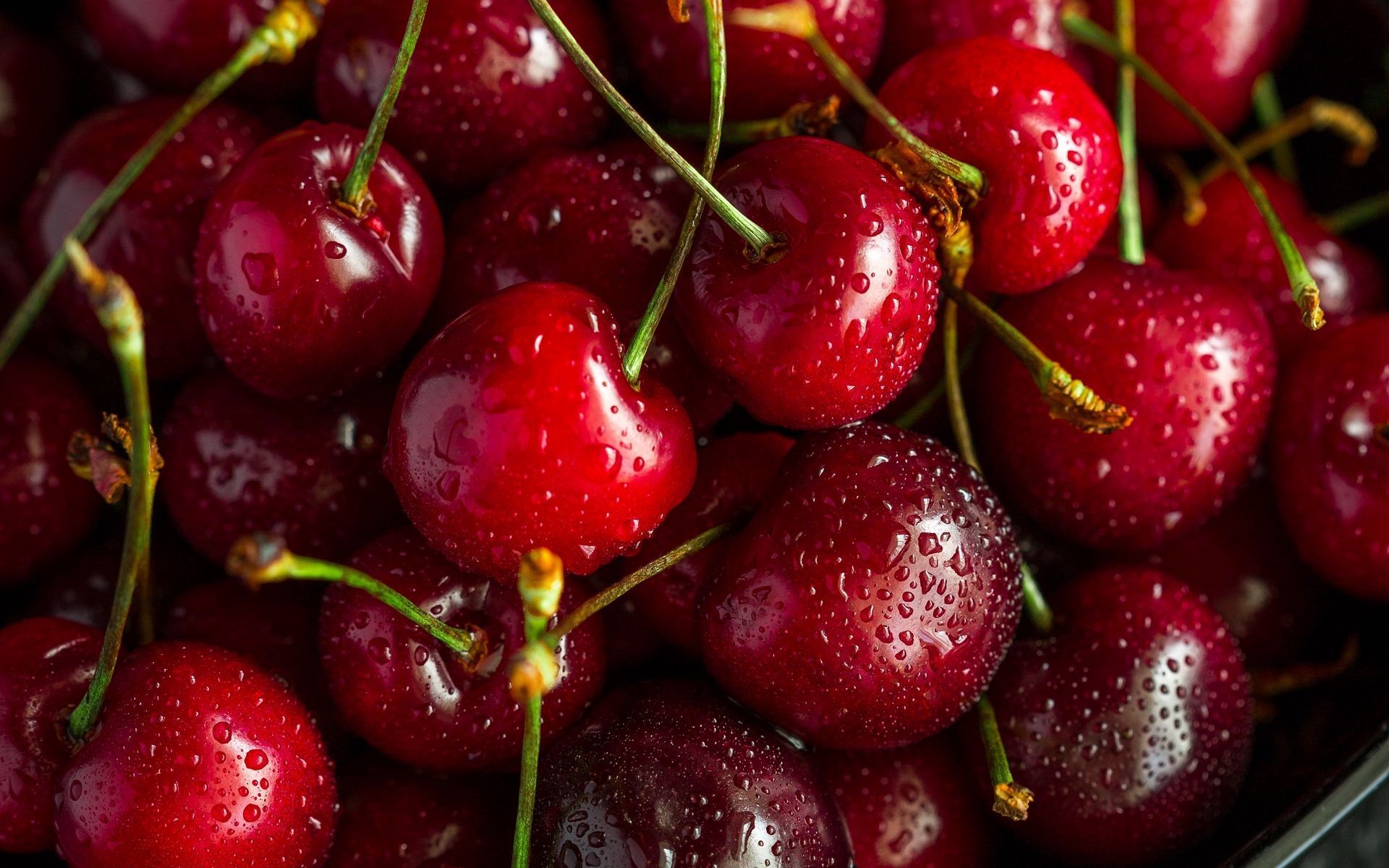 Cherry Wallpapers on WallpaperDog