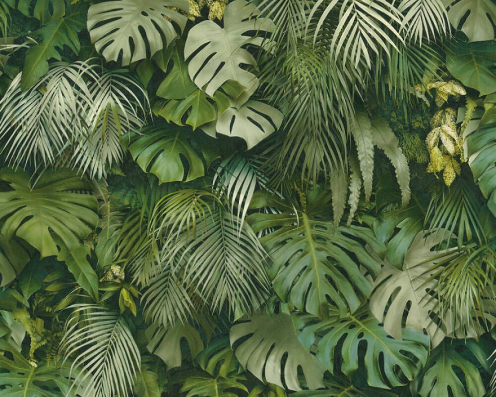 Jungle Wallpapers on WallpaperDog