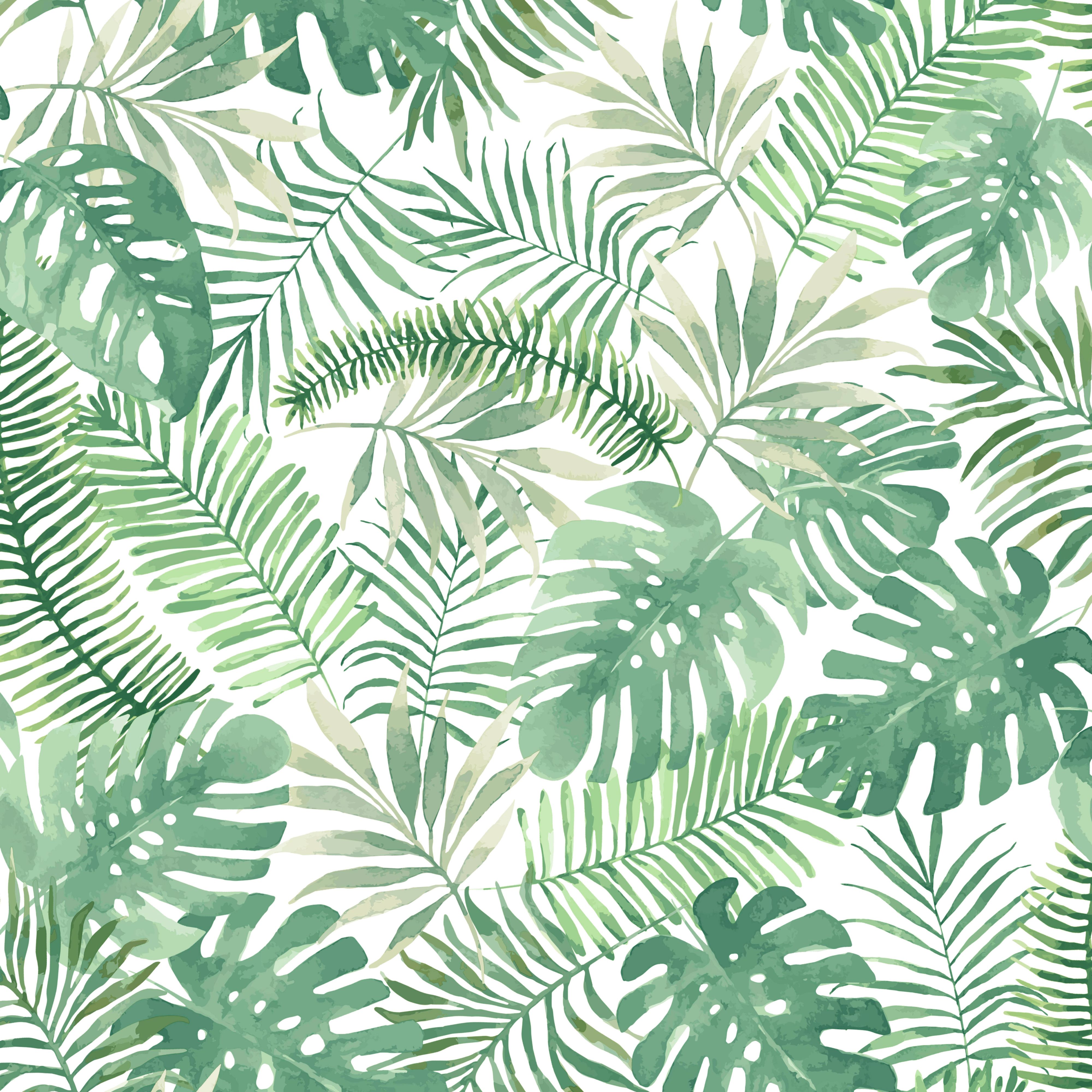leaf wallpaper for desktop