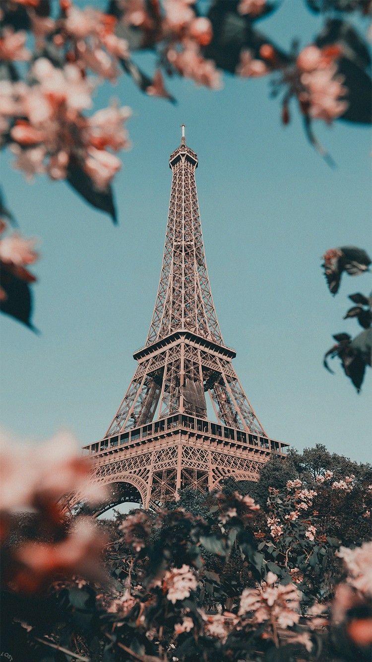 Hình nền Paris trên WallpaperDog sẽ cung cấp cho bạn những hình ảnh ấn tượng nhất về thành phố ánh sáng. Hãy thưởng thức vẻ đẹp và năng động của Paris mỗi ngày với những hình ảnh độc đáo này.