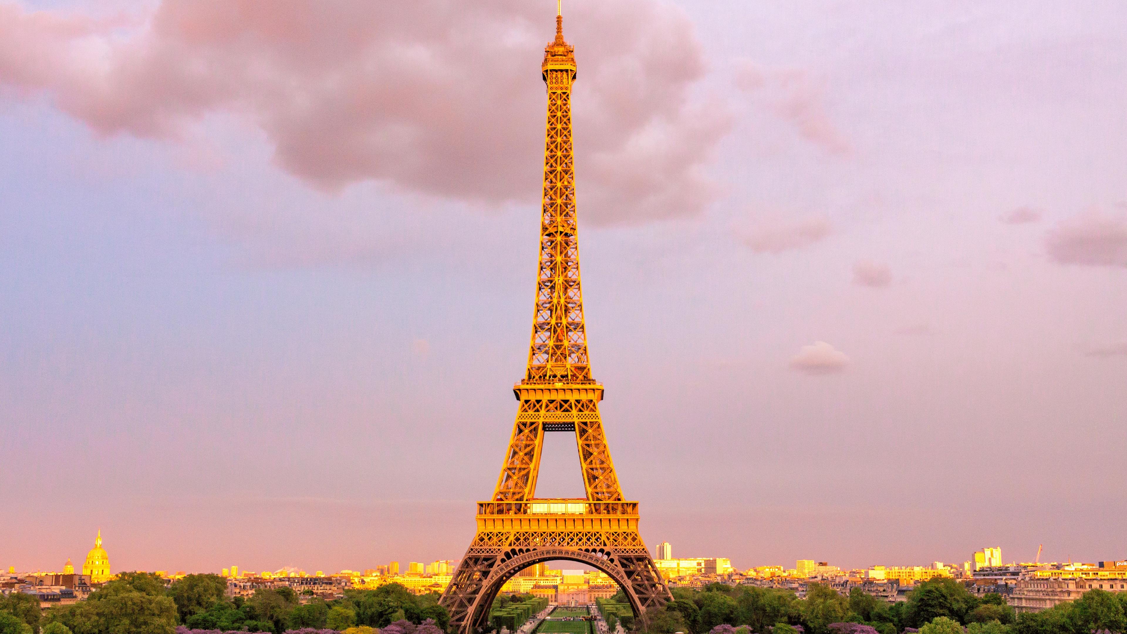 100 Pink Paris Background s  Wallpaperscom