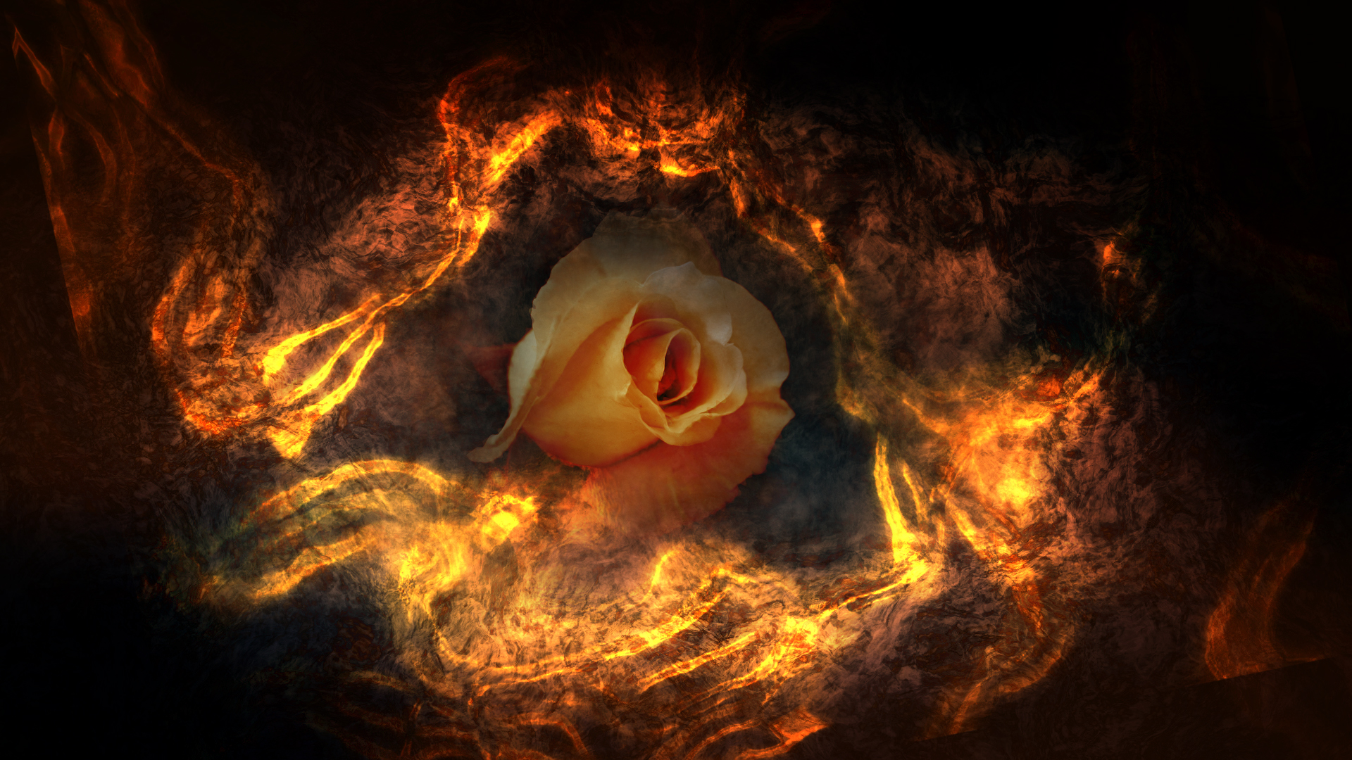 Цветы деньги и огонь. Огненный цветок. Красивый огонь. Цветок в огне. Пламенный цветок.