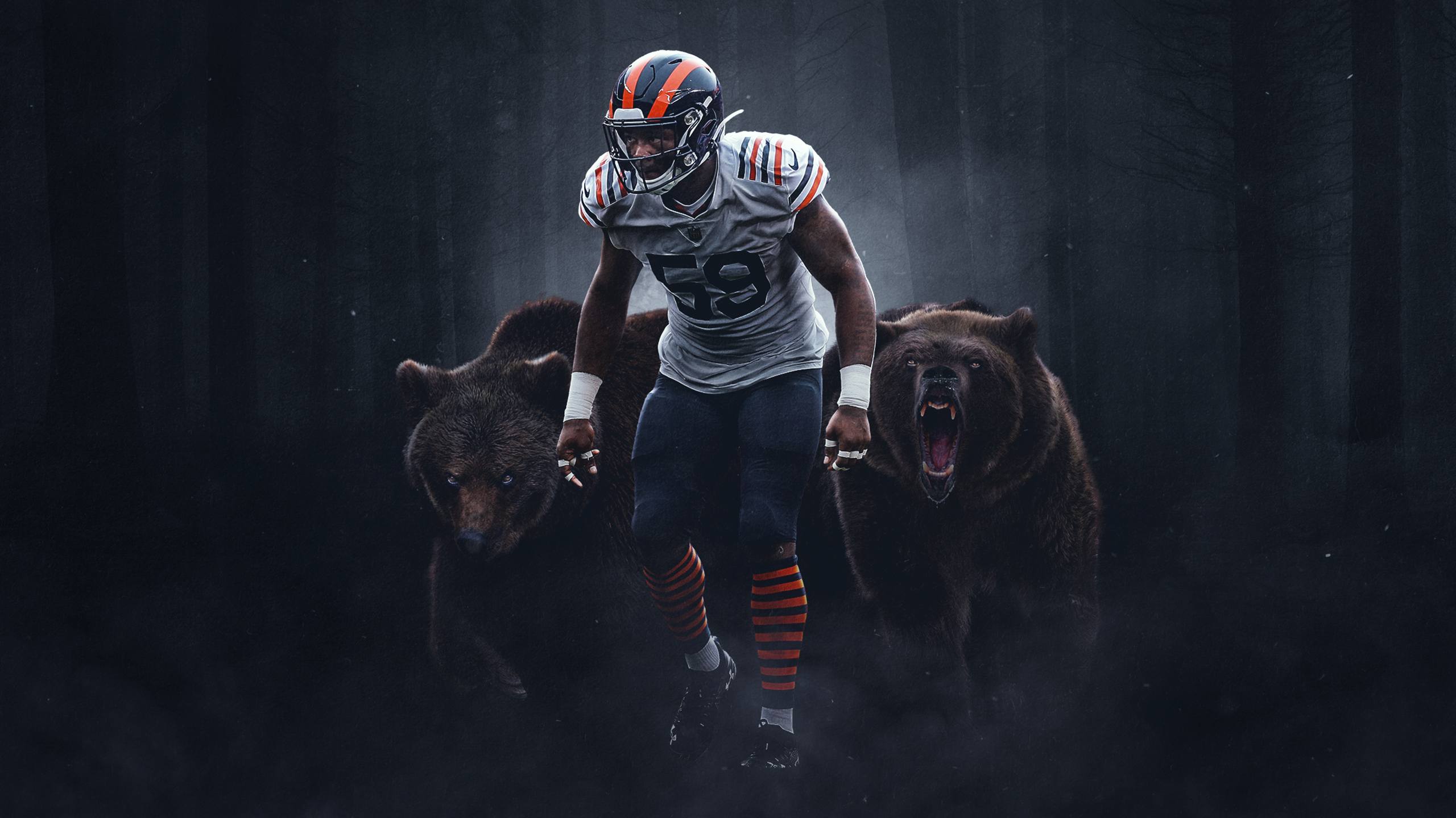 Chicago bears 1080P, 2K, 4K, 5K HD wallpapers free download