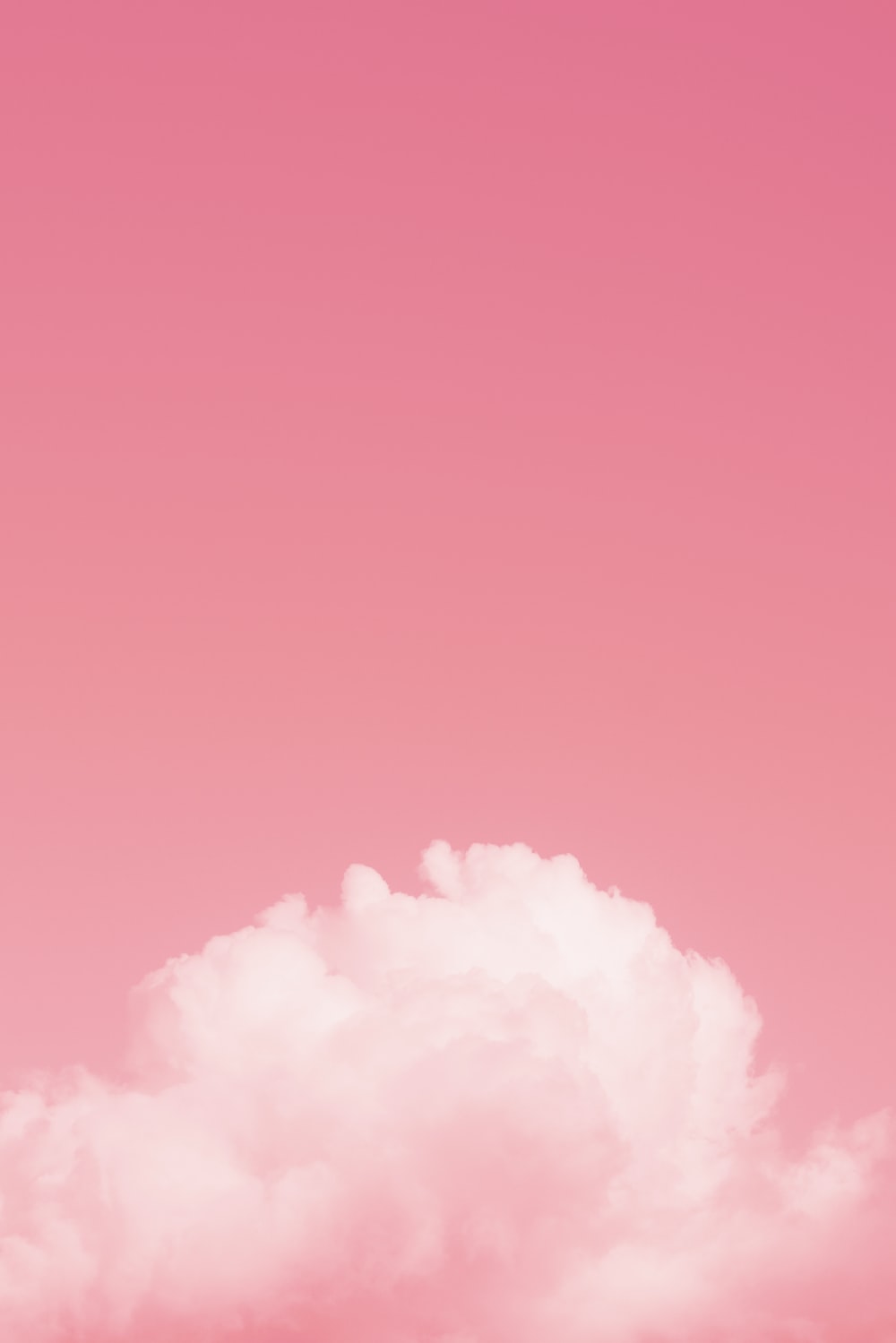 49 Love Pink Wallpaper Desktop  WallpaperSafari