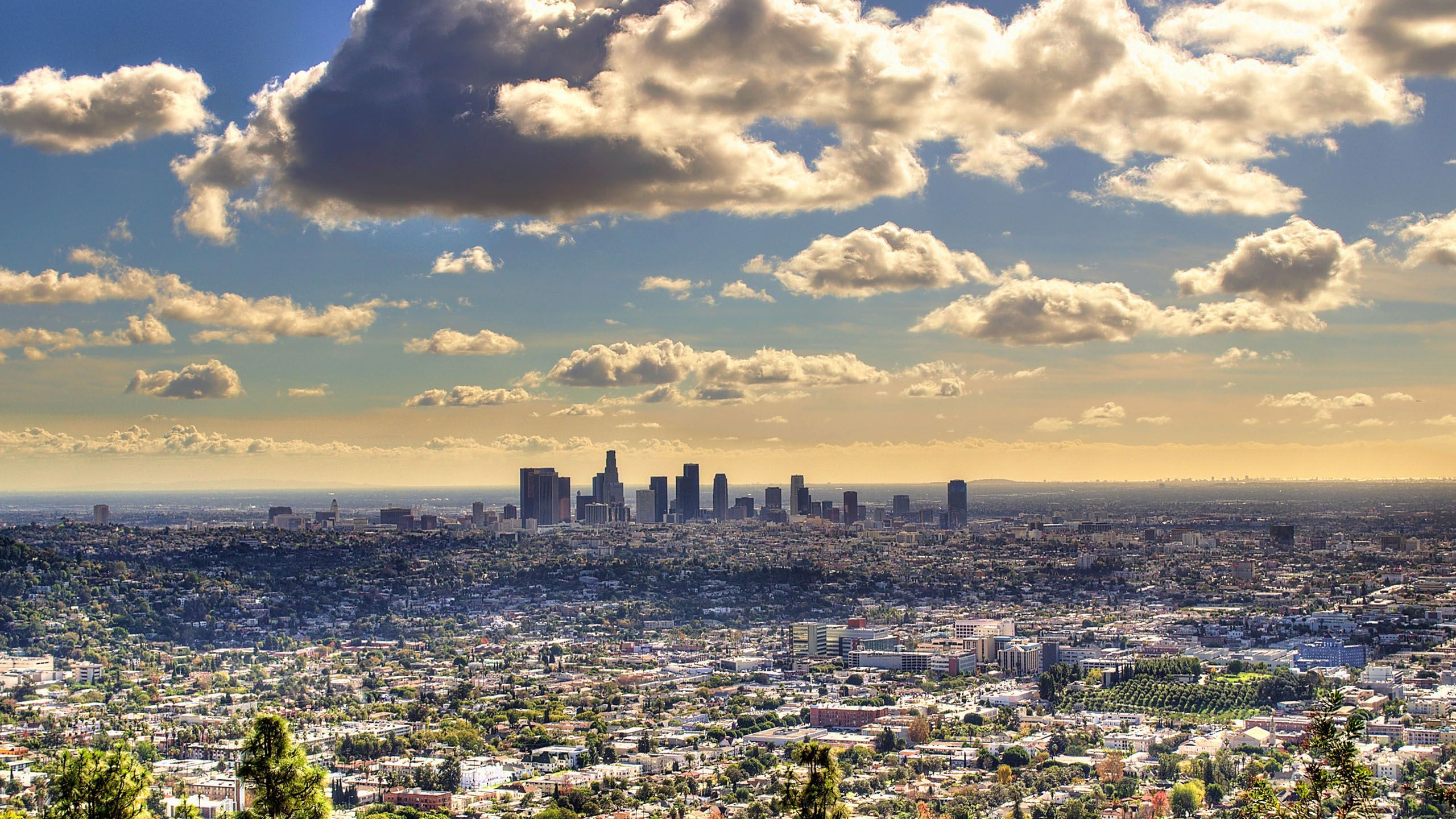 Los Angeles Wallpapers on WallpaperDog