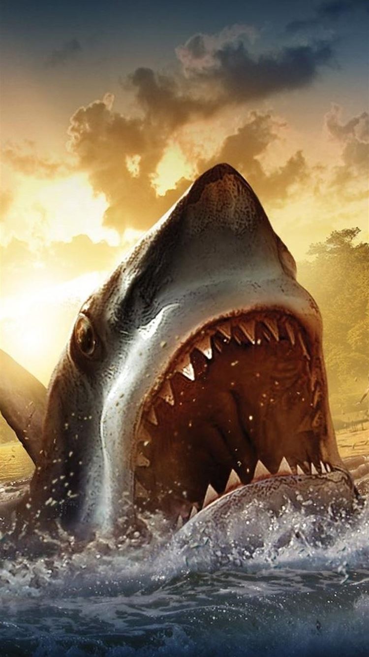 Download Scary Shark Lurking Beneath the Water Wallpaper  Wallpaperscom