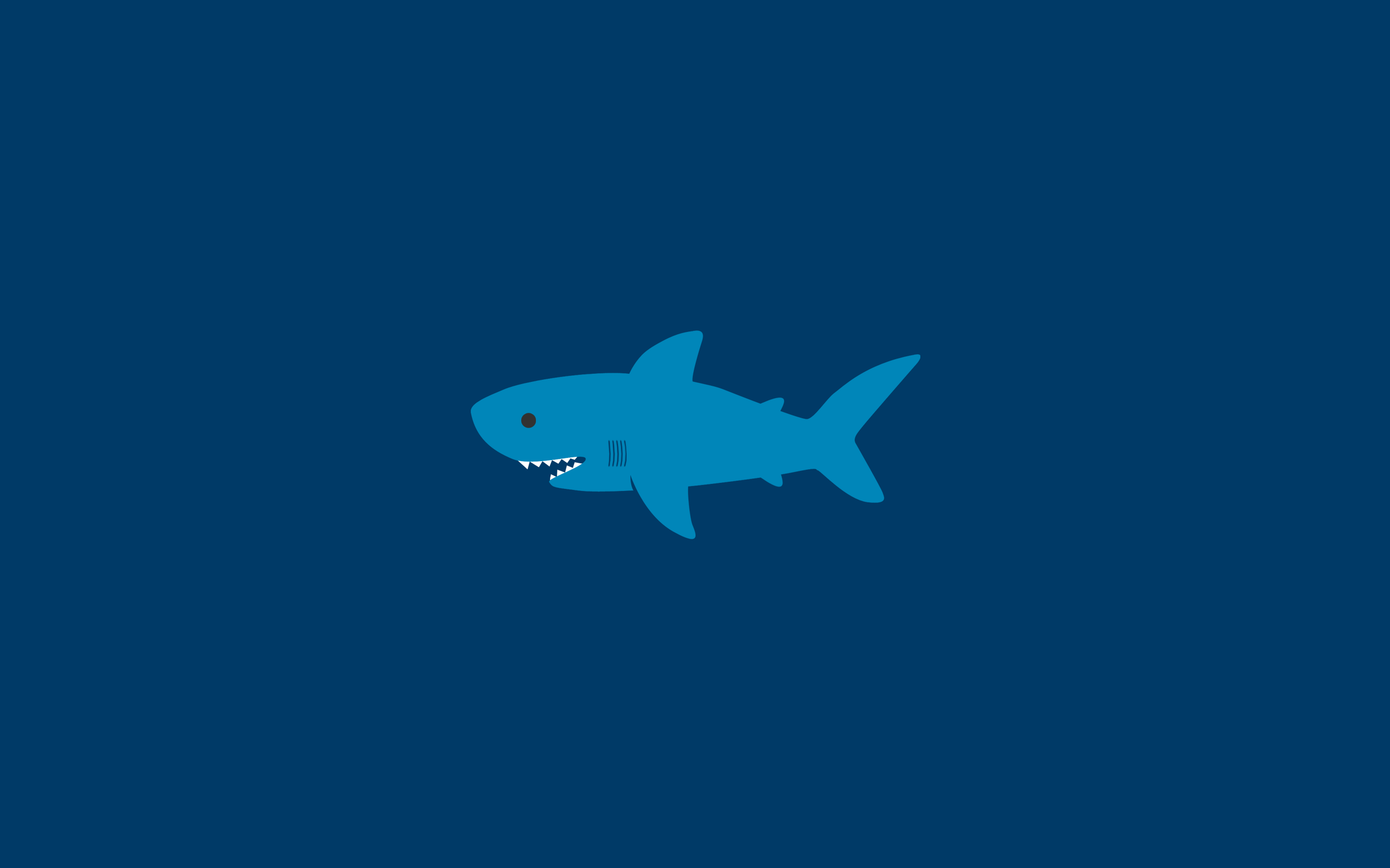 Wallpaper iPhone  Подводные фотографии Морские чудовища Большая белая  акула