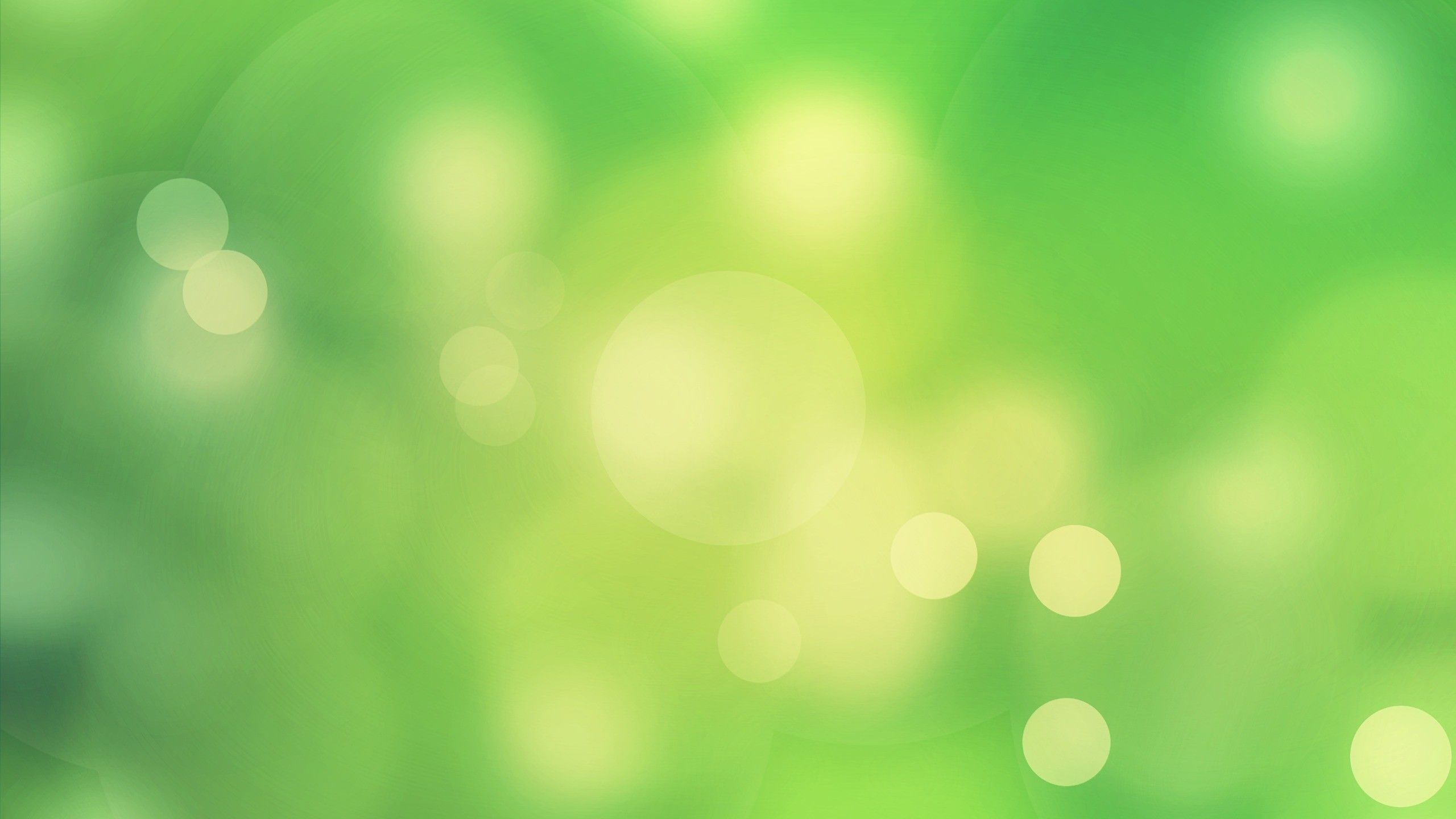 Light Green Wallpapers on WallpaperDog