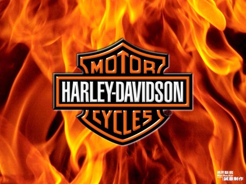 Harley Davidson Wallpapers on WallpaperDog