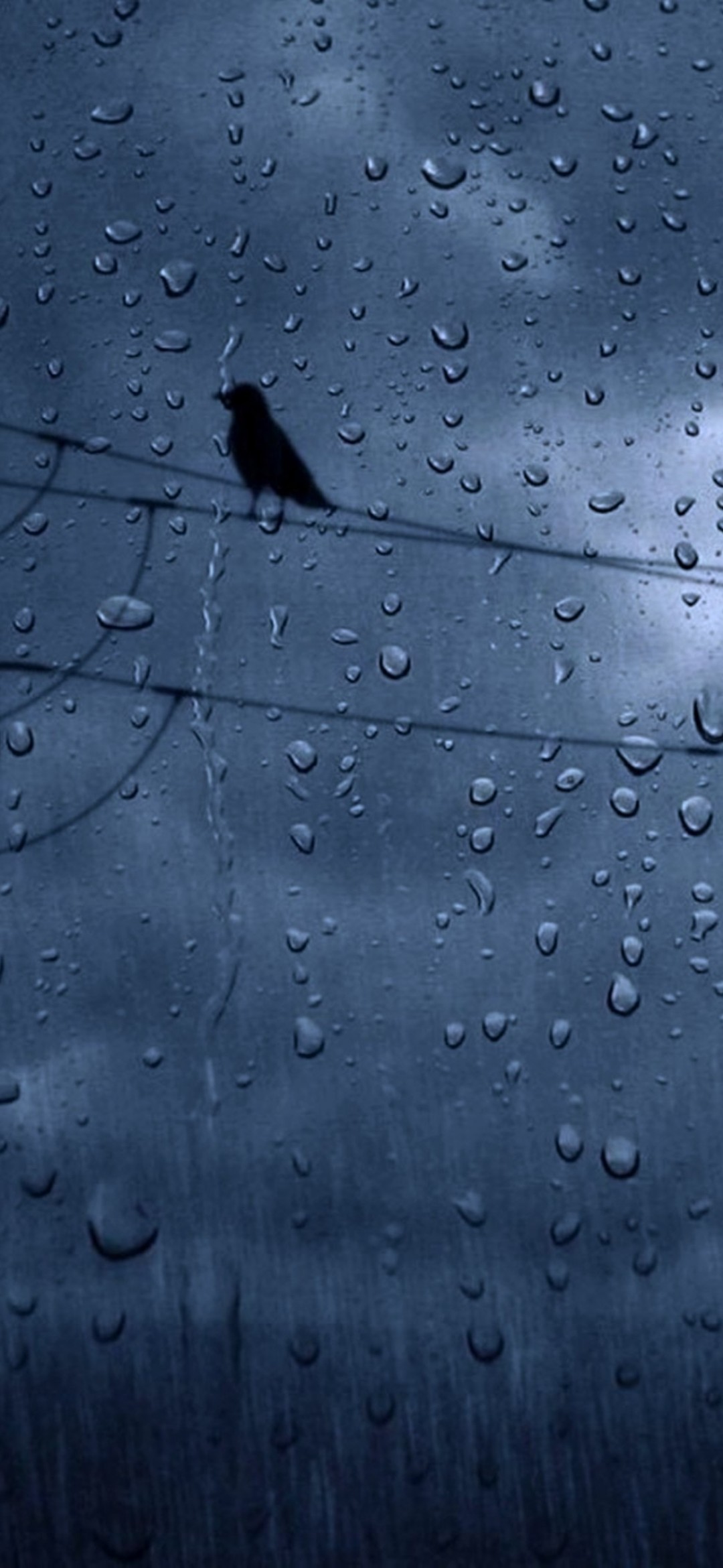 Raindrops Wallpaper for iPhone 11 Pro Max X 8 7 6  Free Download on  3Wallpapers