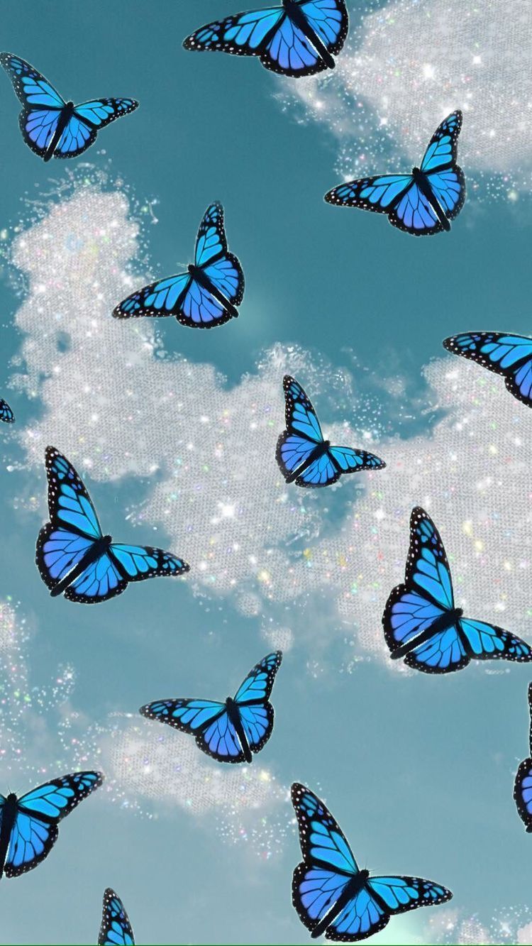 HD butterflies wallpapers  Peakpx