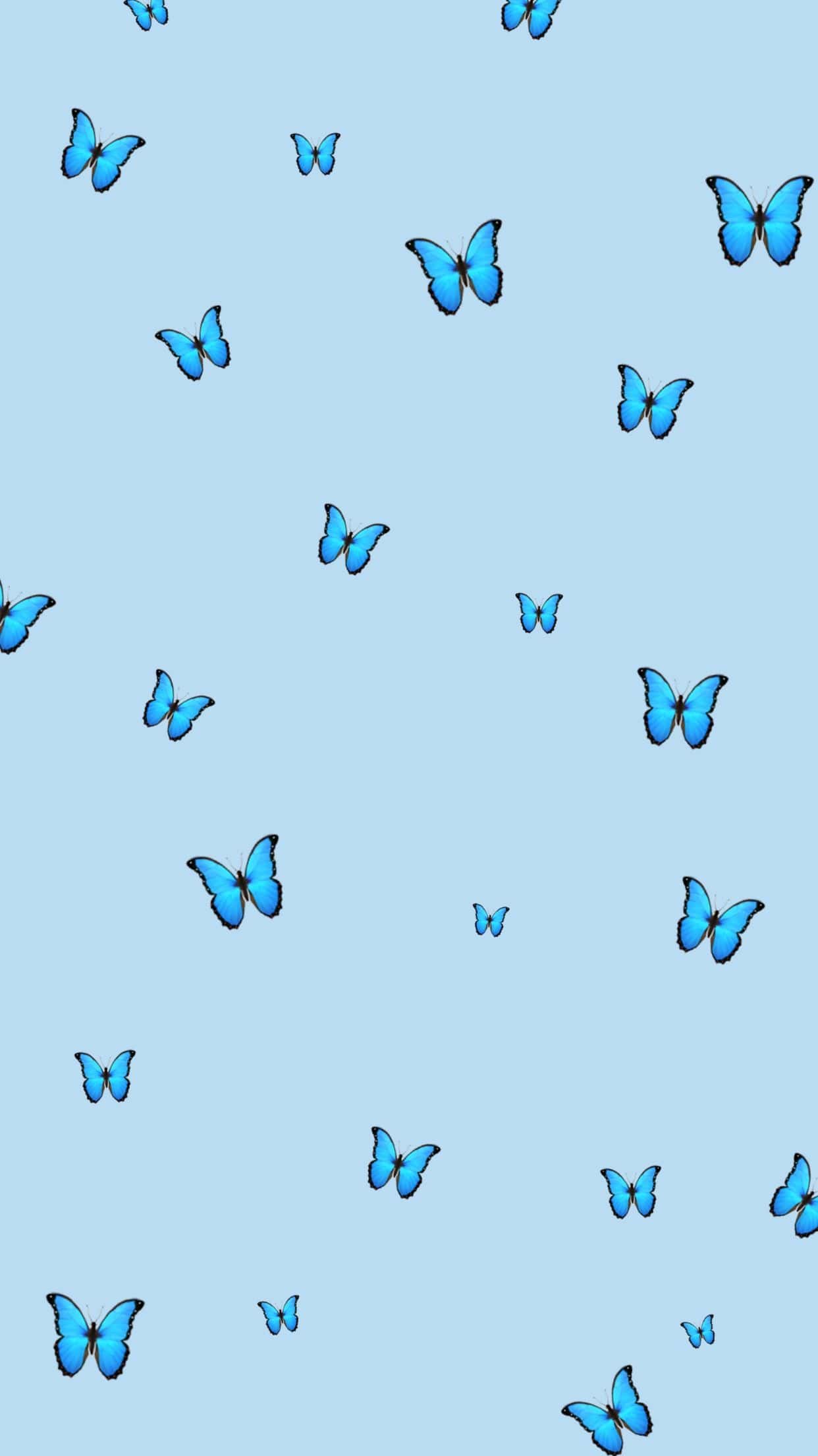 Blue Butterfly  Wonderful Aesthetic Wallpaper Download  MobCup