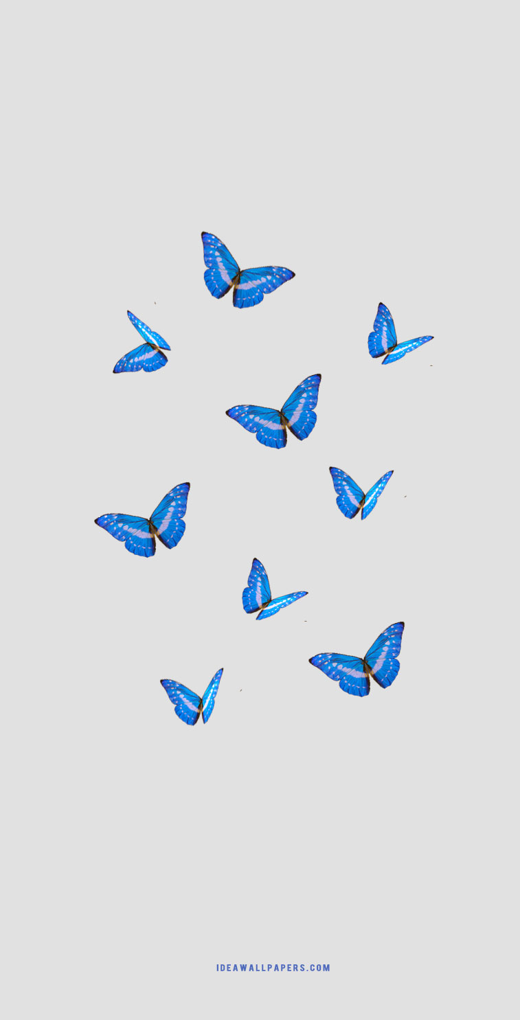 Free download Aesthetic wallpaper Blue butterfly wallpaper Blue wallpaper  736x1308 for your Desktop Mobile  Tablet  Explore 34 Cute Aesthetic  Butterfly Wallpapers  Cute Butterfly Backgrounds Cute Butterfly Wallpapers  Cute Butterfly Desktop 