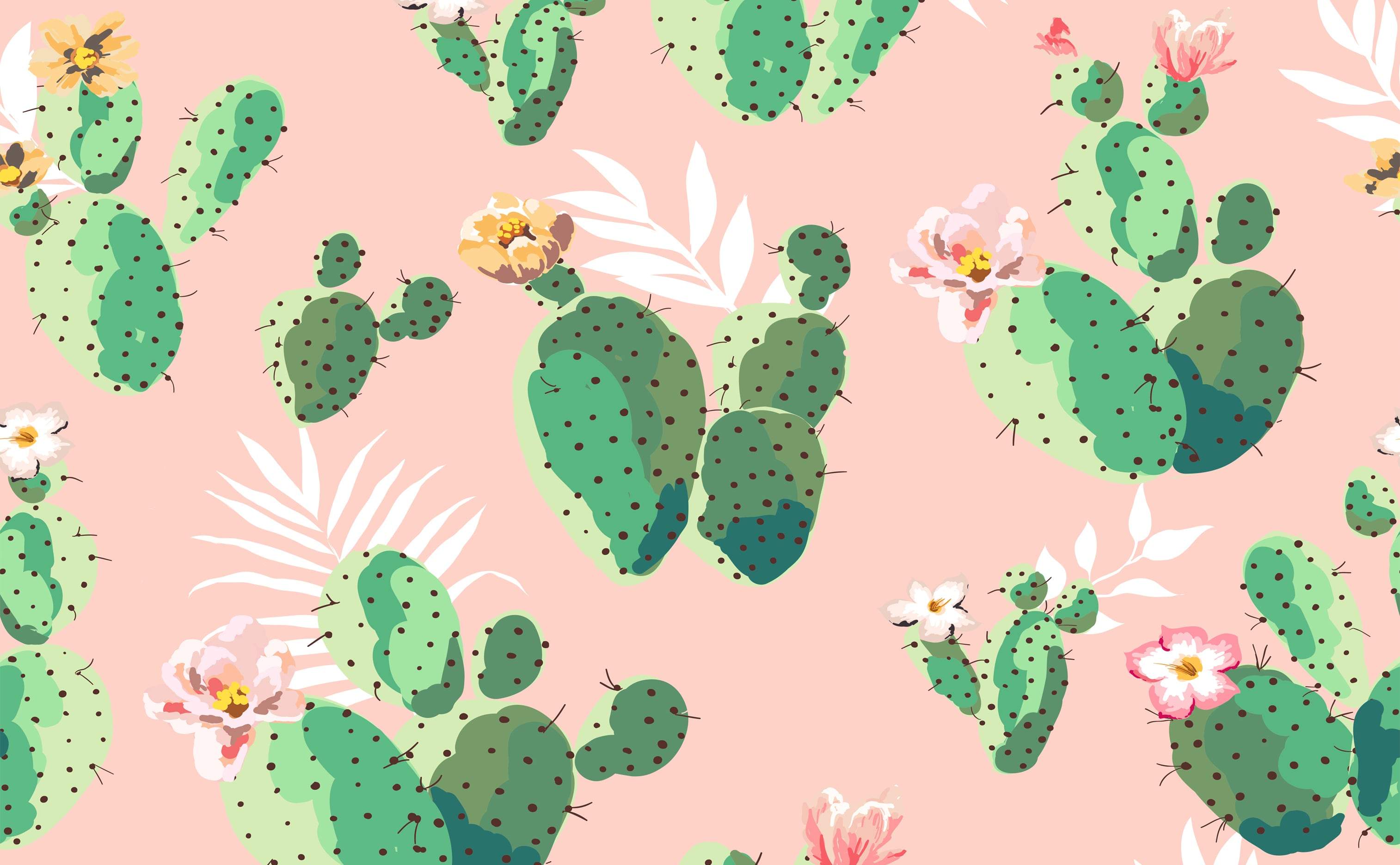 Cactus Wallpapers on WallpaperDog