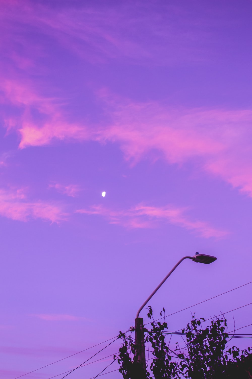 Purple Aesthetic Wallpapers On WallpaperDog