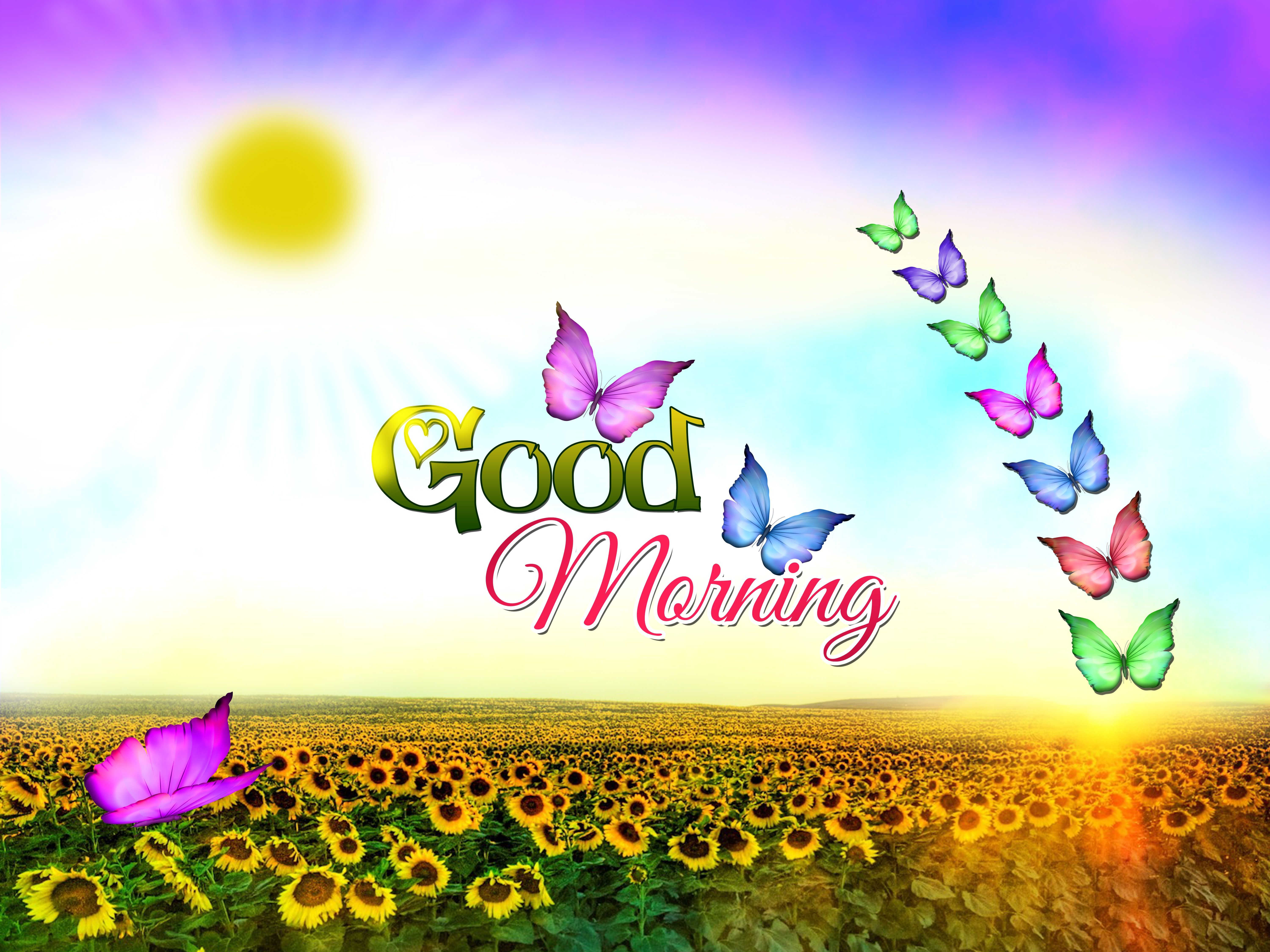 6000x4500 Good Morning Beautiful Wallpapers - Top Free Good Morning Beautiful  Backgrounds - WallpaperAccess