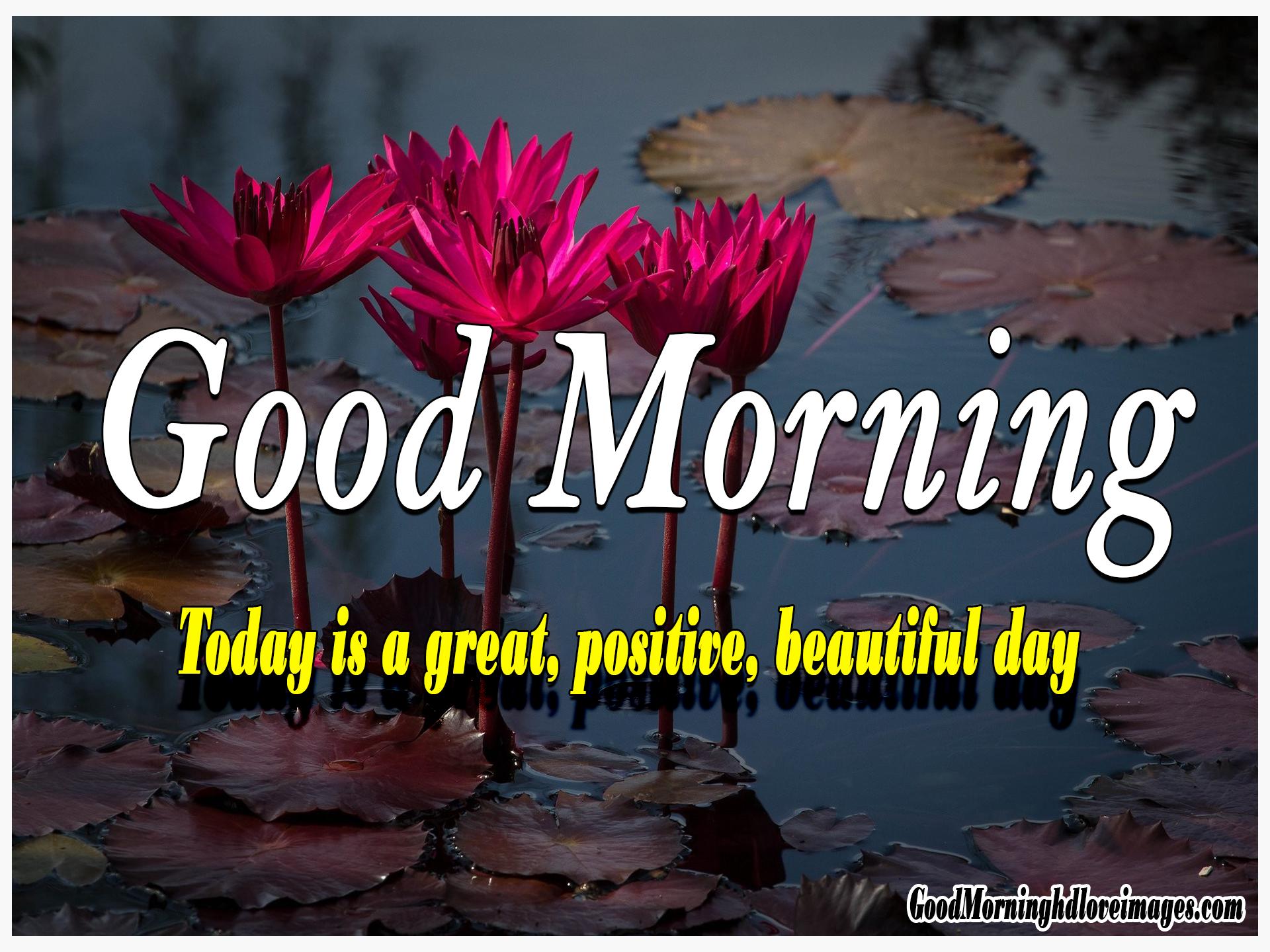 1920x1440 156+ Fresh Good Morning Wallpaper Free Download For Whatsapp Hd Download - Good  Morning