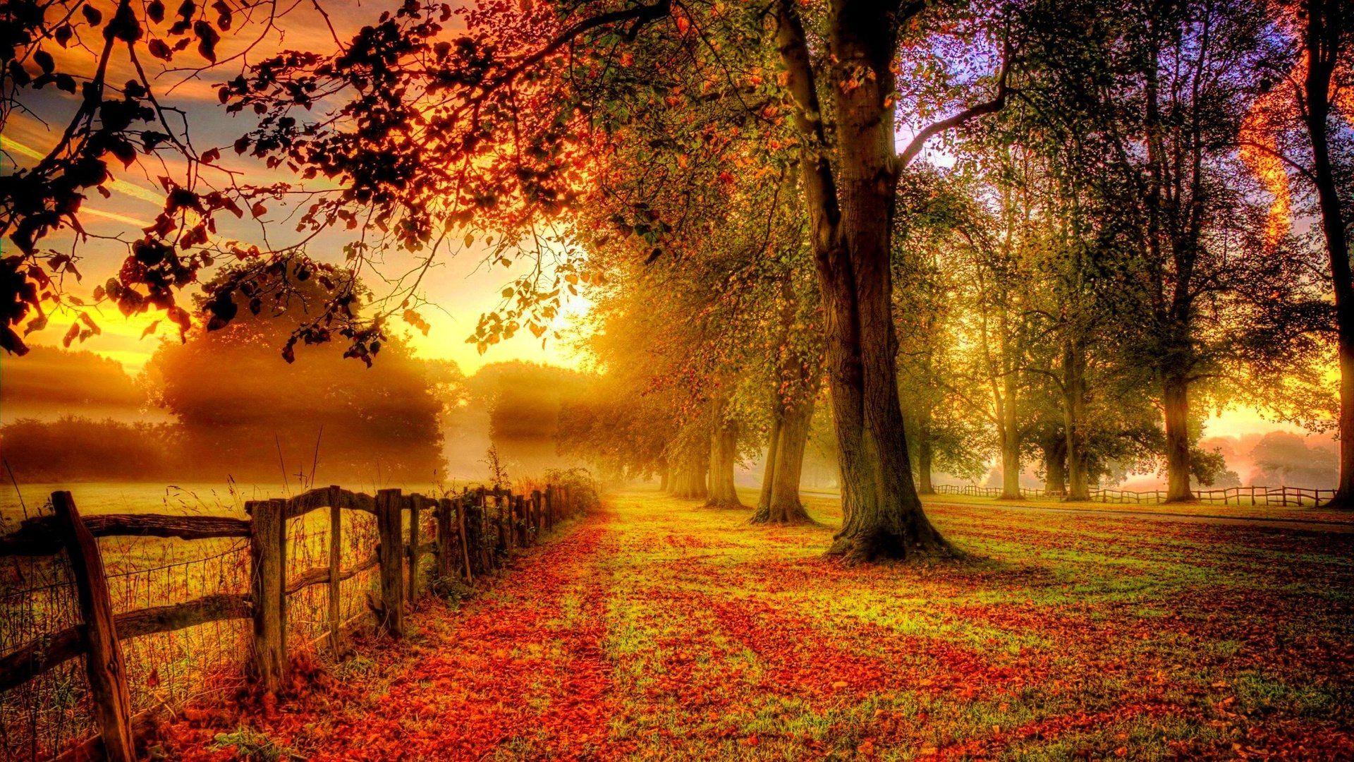 Autumn Wallpapers  Wallpapers HD