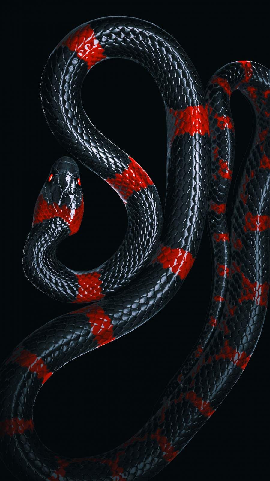 Best Snake iPhone HD Wallpapers  iLikeWallpaper