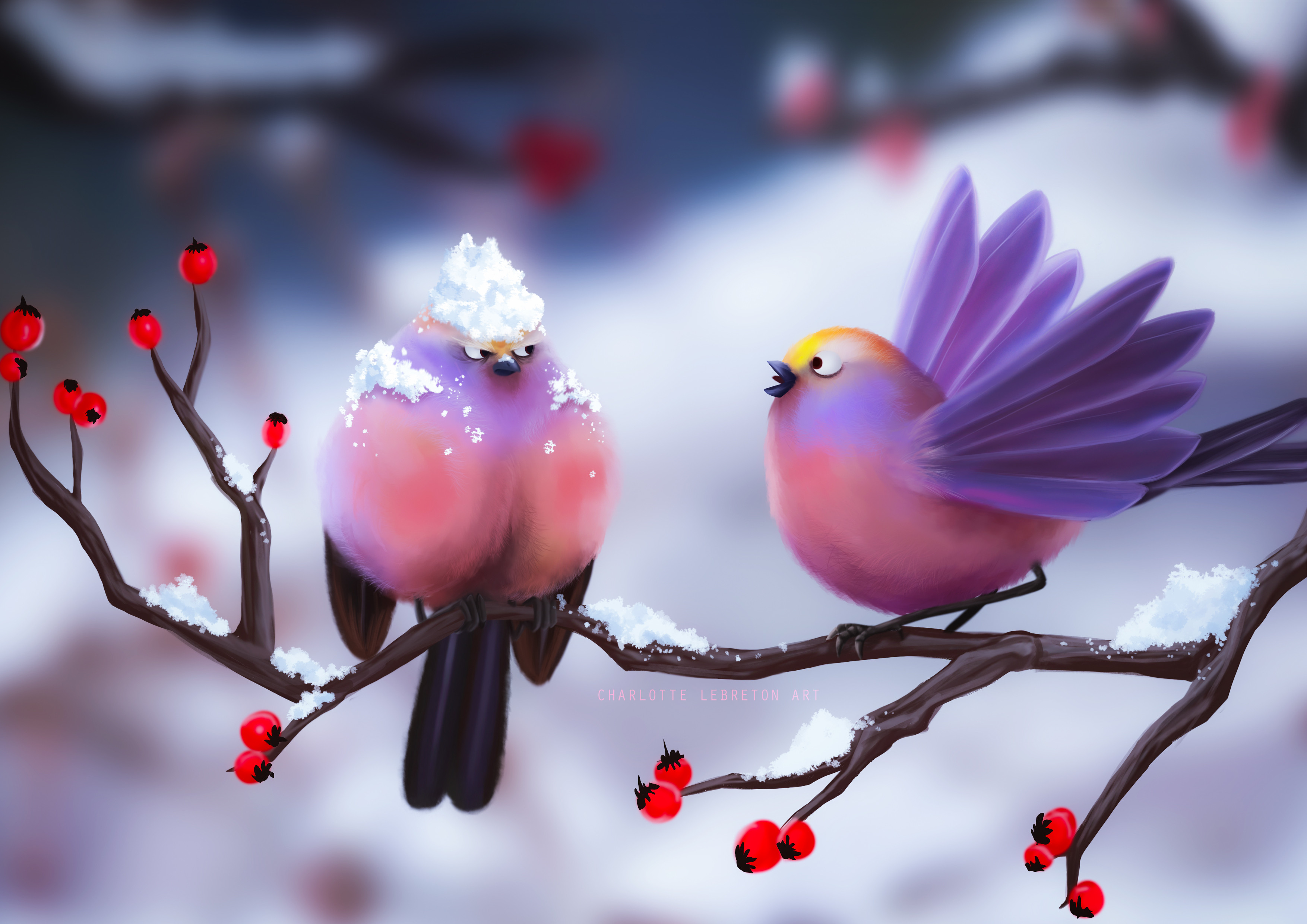 HD desktop wallpaper Animals Birds Parrots download free picture 32705