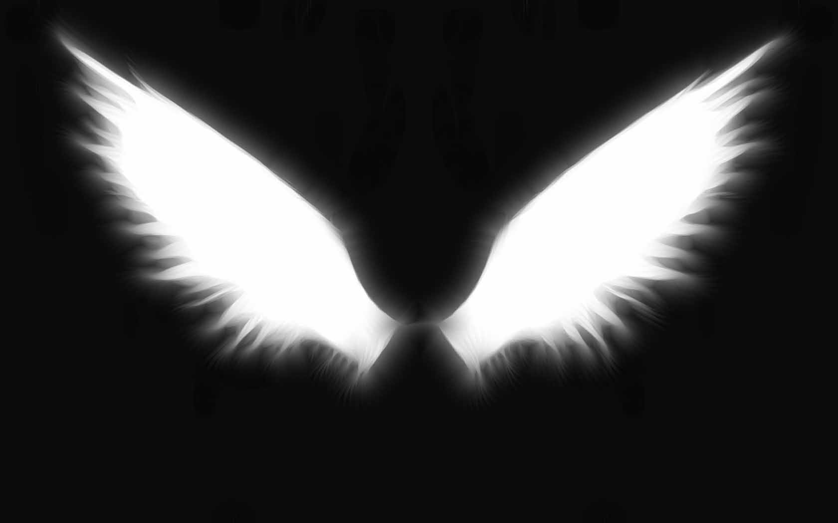 Angel wings, lucifer, wing, HD phone wallpaper | Peakpx