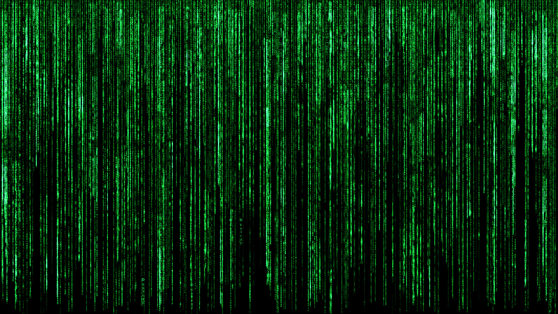 Matrix Wallpapers on WallpaperDog