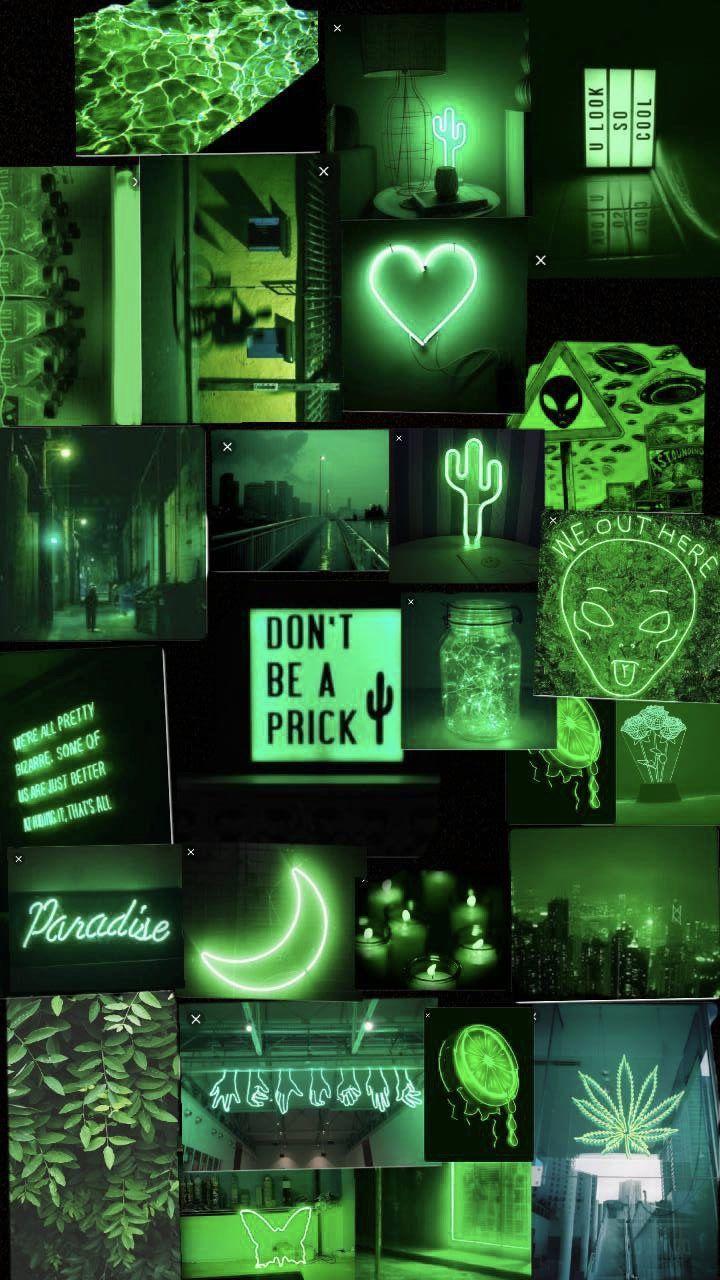 50+ Green Aesthetic Pictures, Color Palettes & Wallpapers