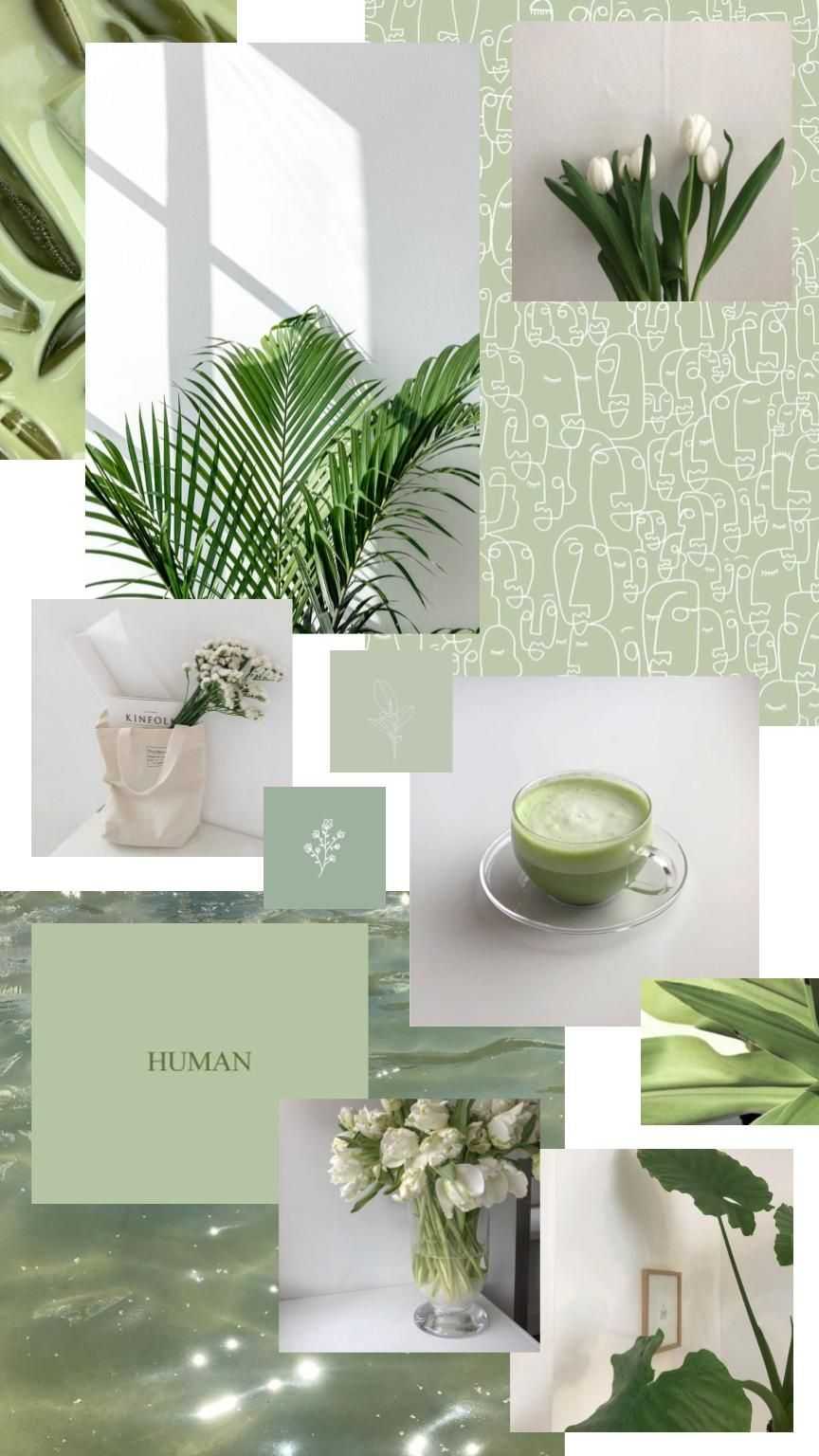 HD green aesthetics wallpapers  Peakpx