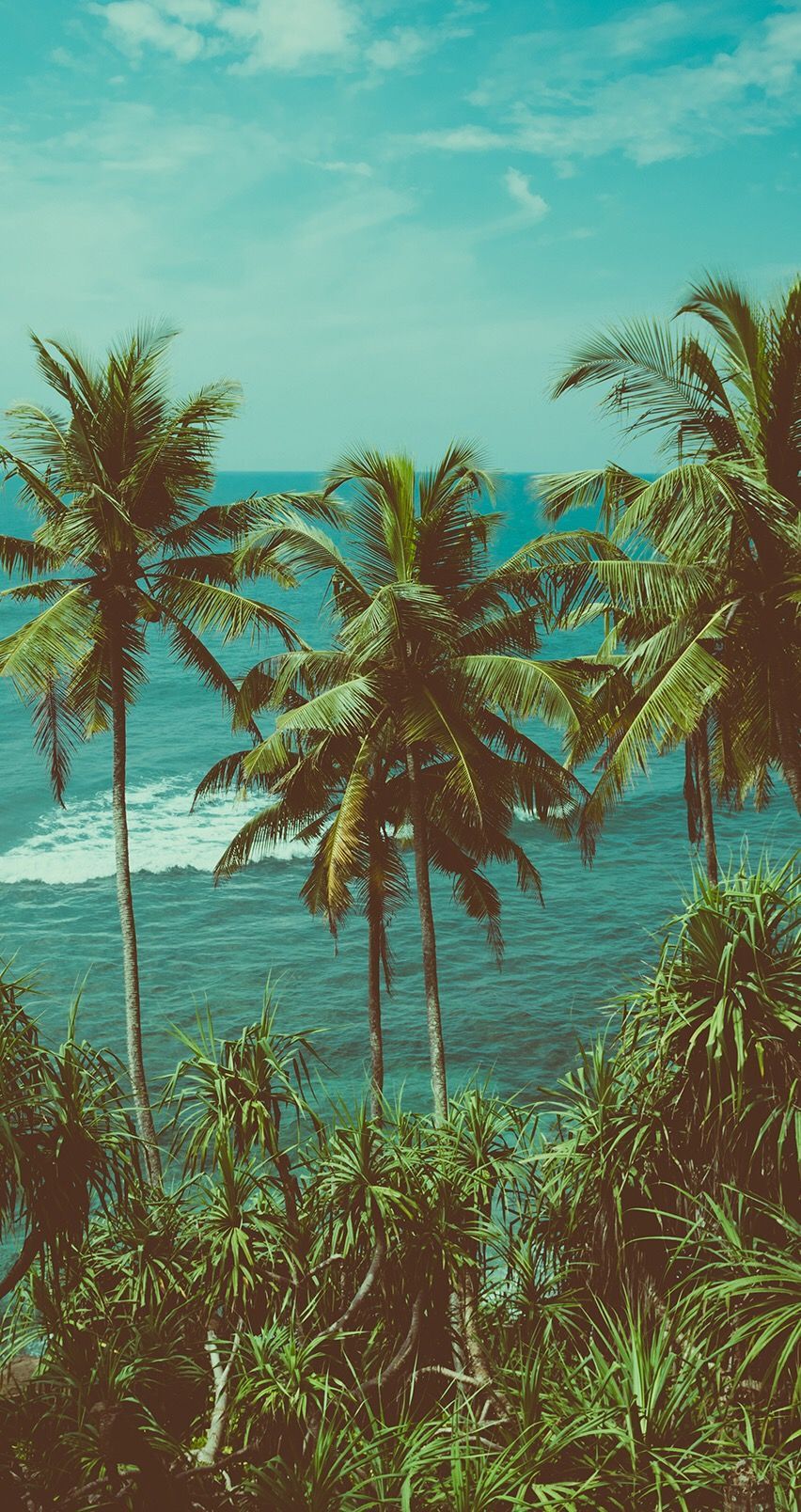 Island tropical palm trees beach sand thicket HD phone wallpaper   Peakpx