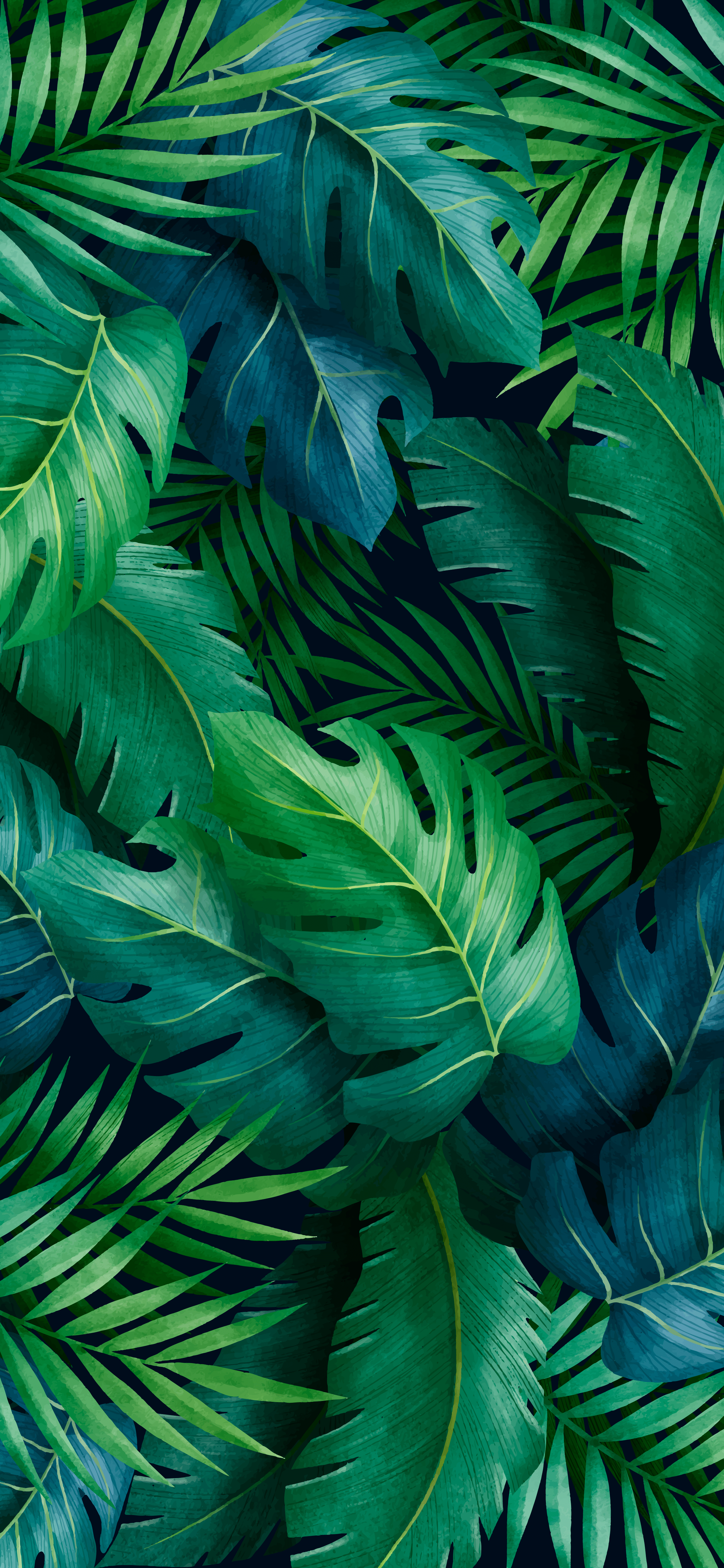 Tropical Wallpapers on WallpaperDog