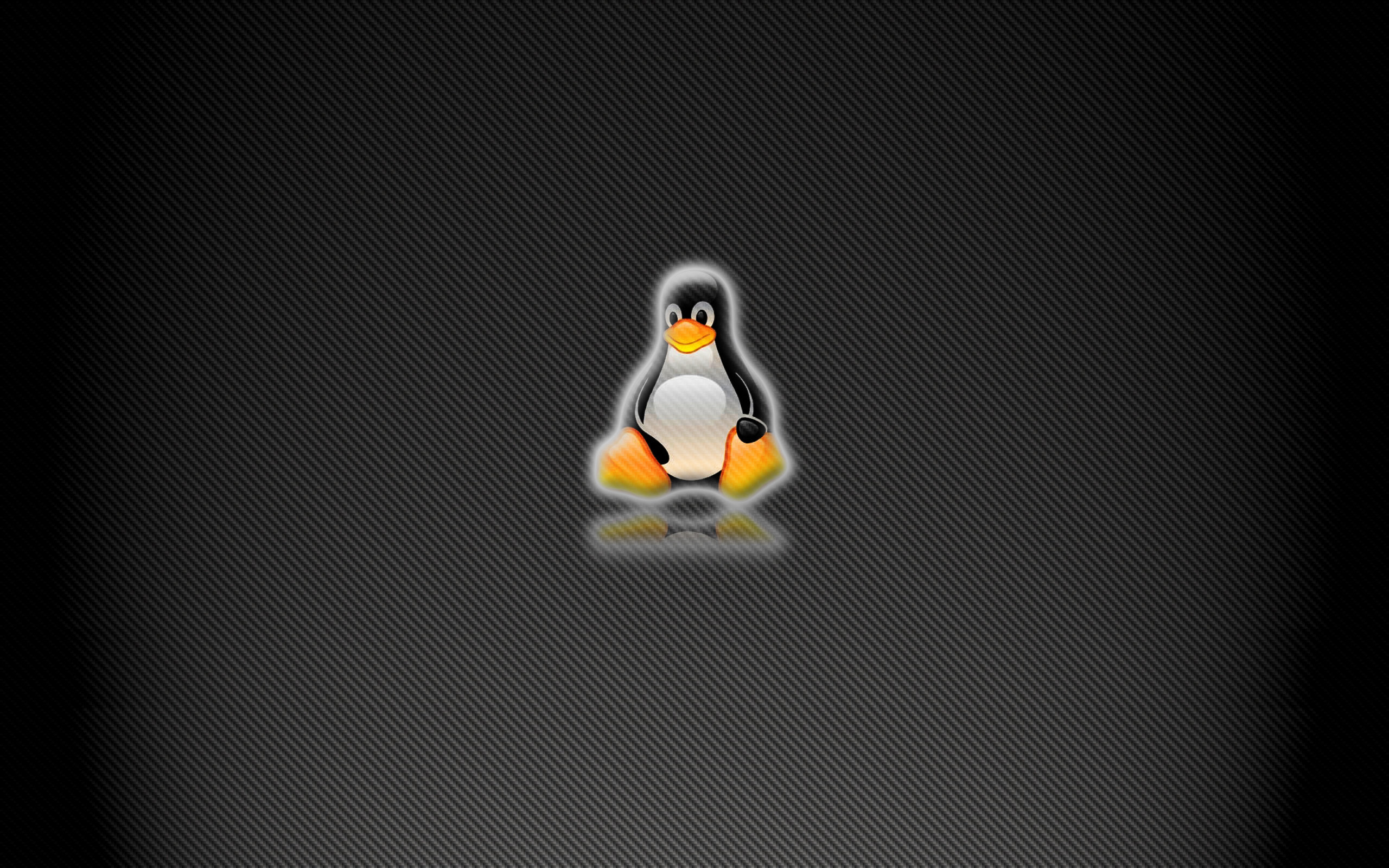 Vk linux. Заставка Linux. Фон рабочего стола Linux. Пингвин линукс. Рабочий стол операционной системы Linux.