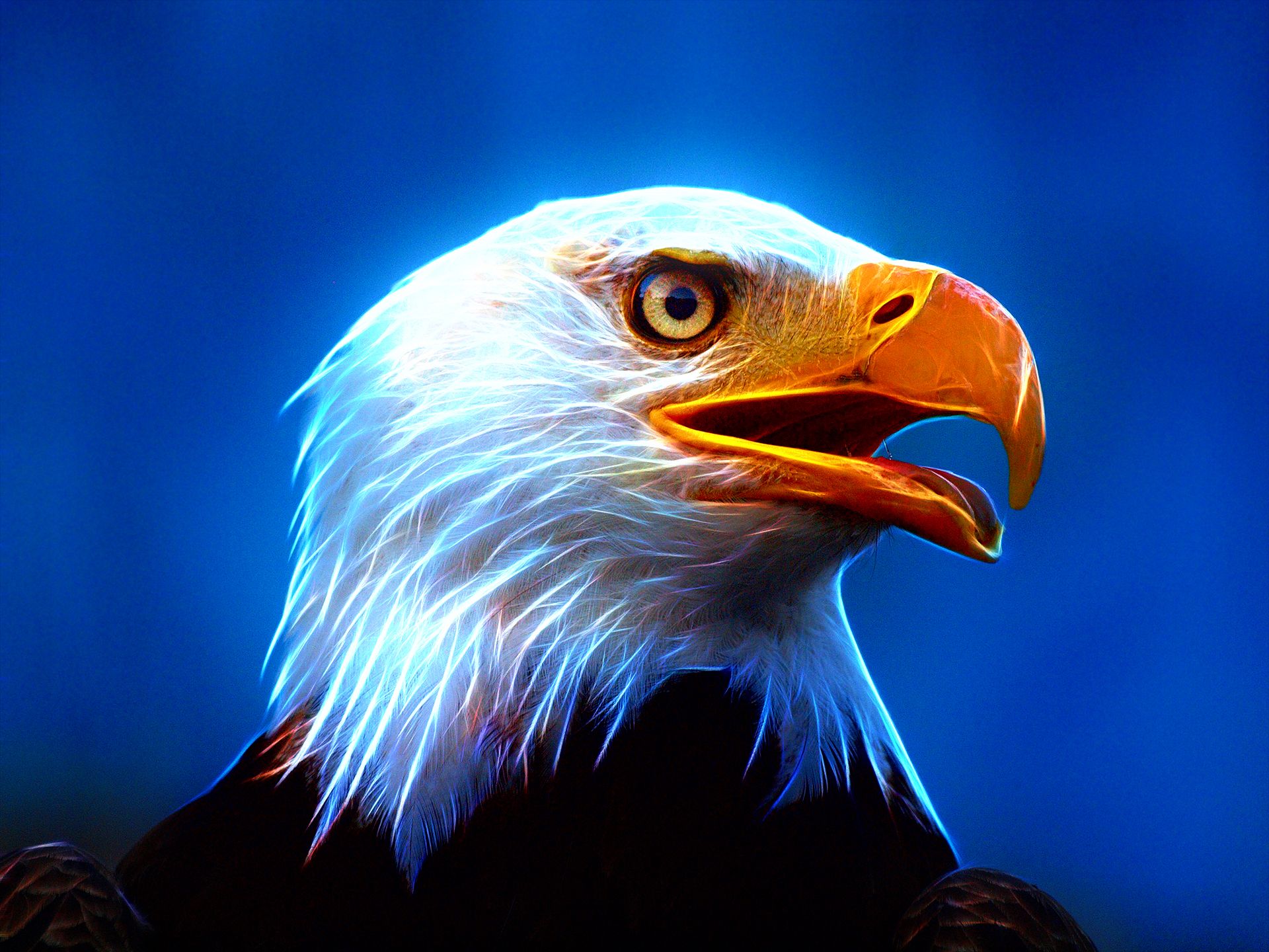 Mobile Desktop Background American Flag Eagle Pics Free Download