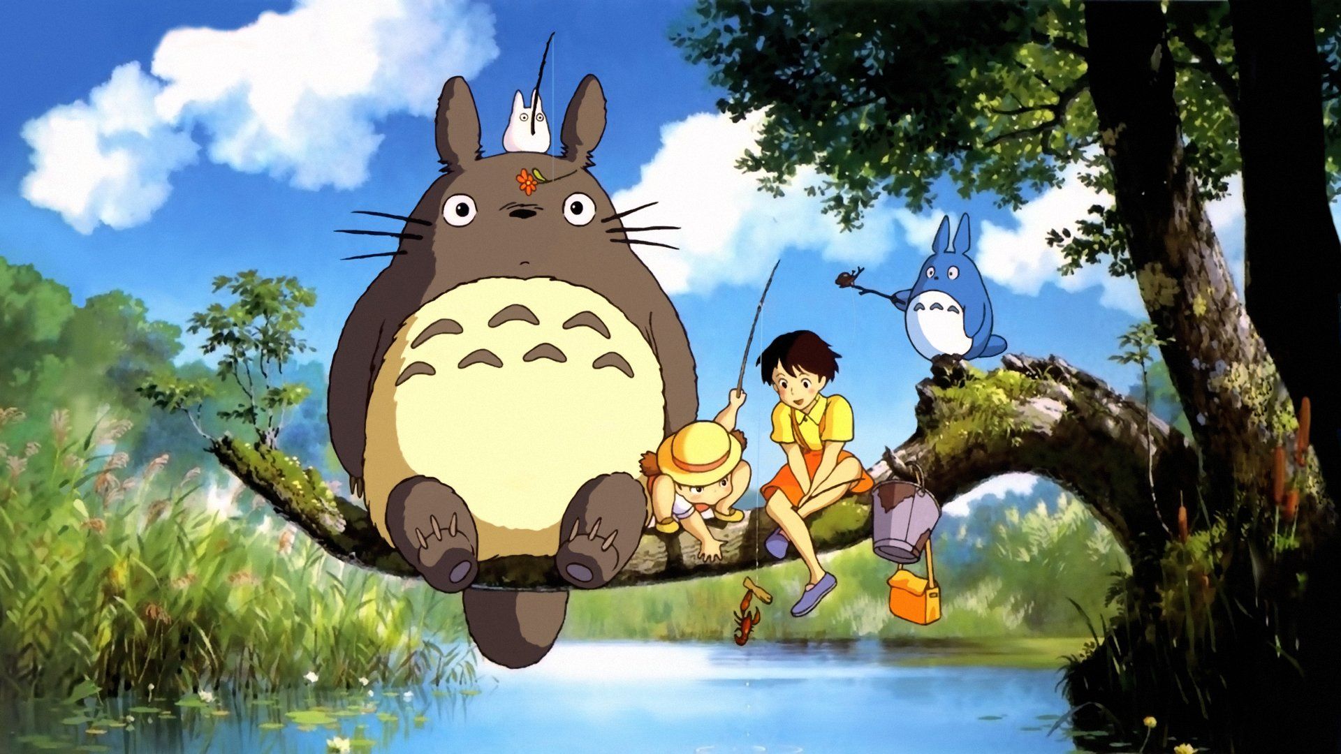 Totoro Wallpapers On Wallpaperdog